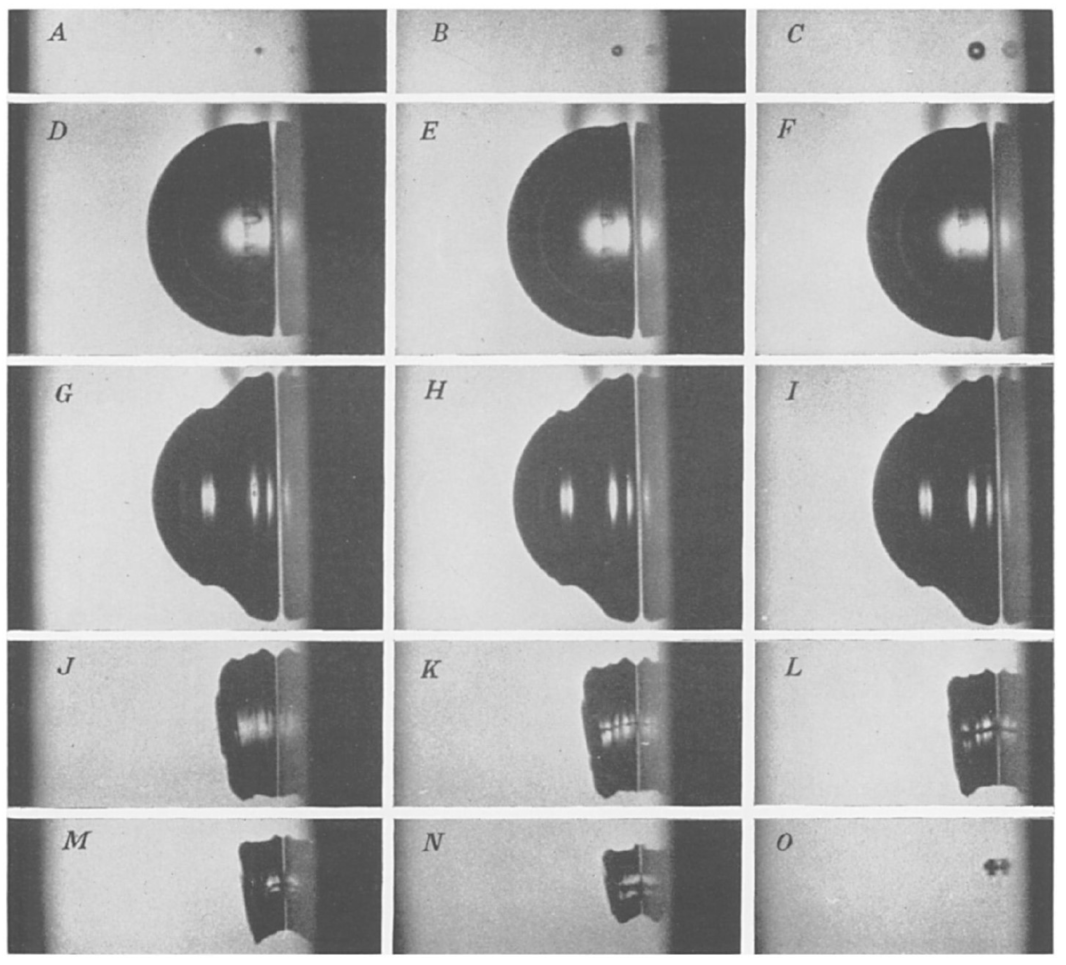 Fluids 09 00249 g005