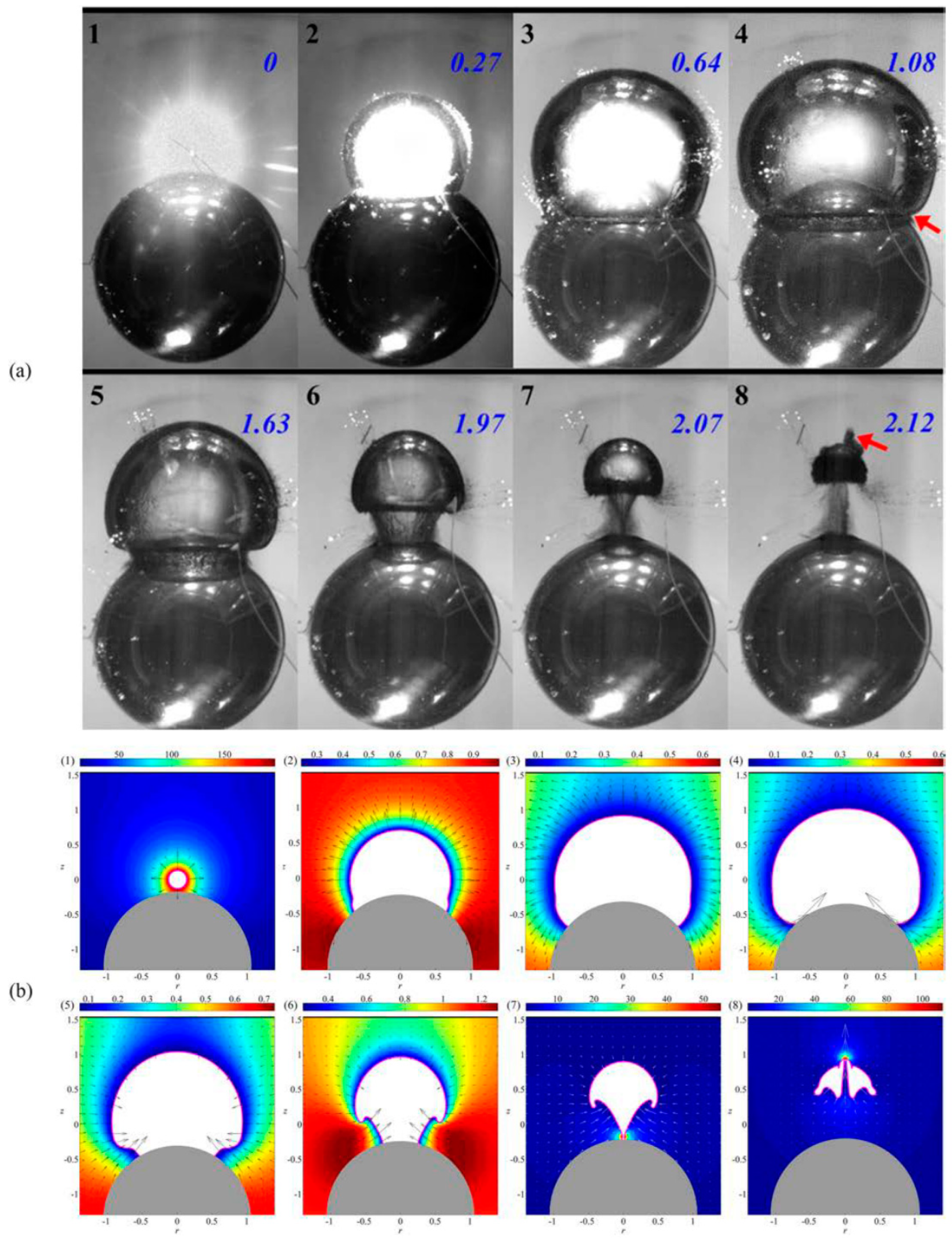 Fluids 09 00249 g021