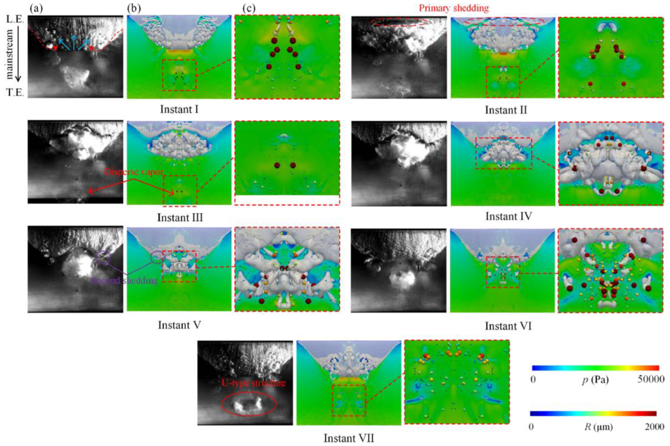 Fluids 09 00249 g024