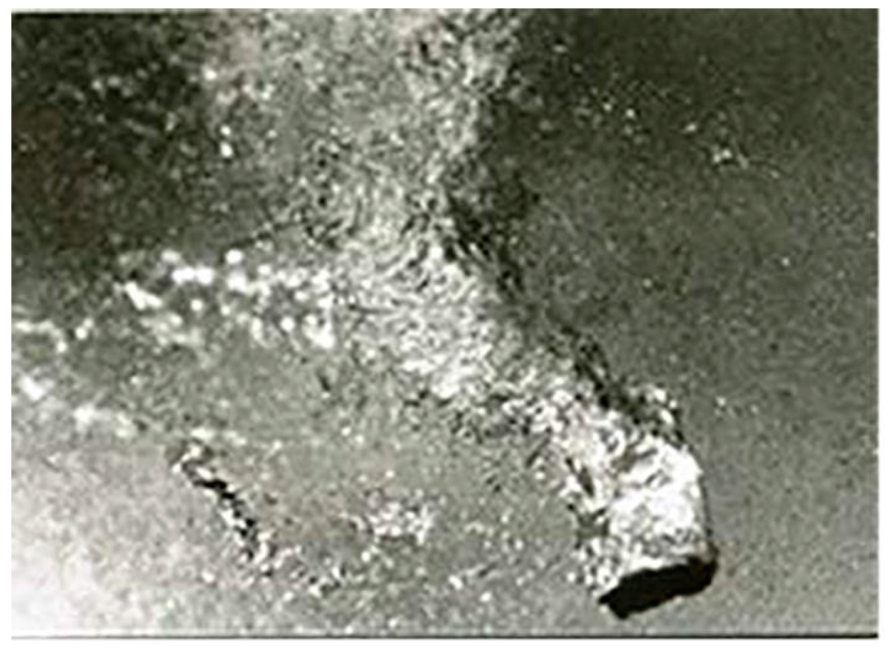 Fluids 09 00249 g026