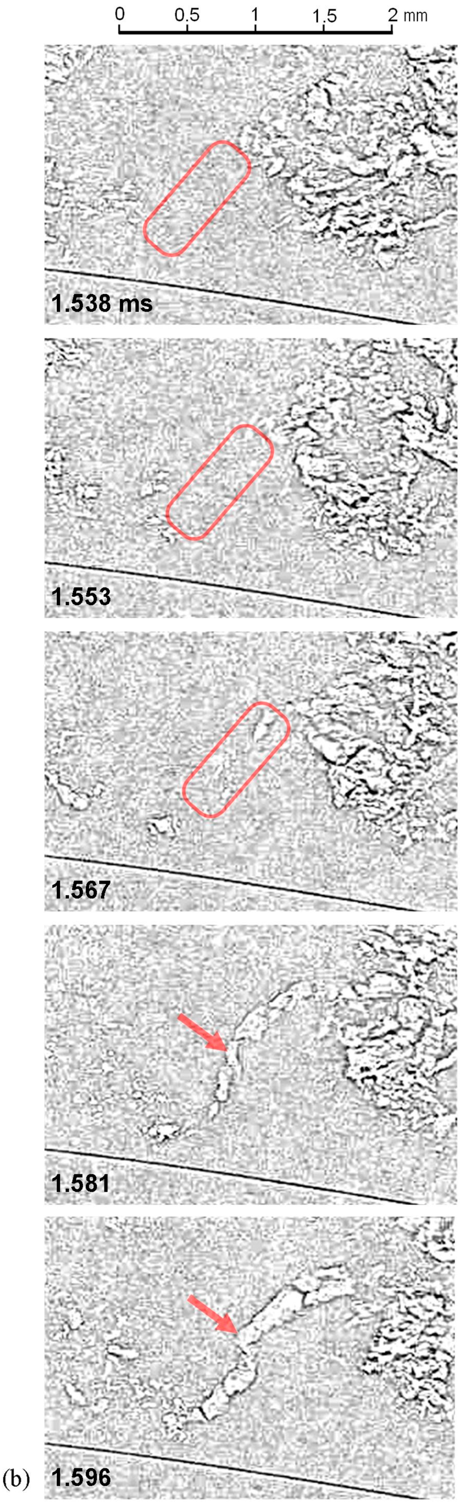 Fluids 09 00249 g041b
