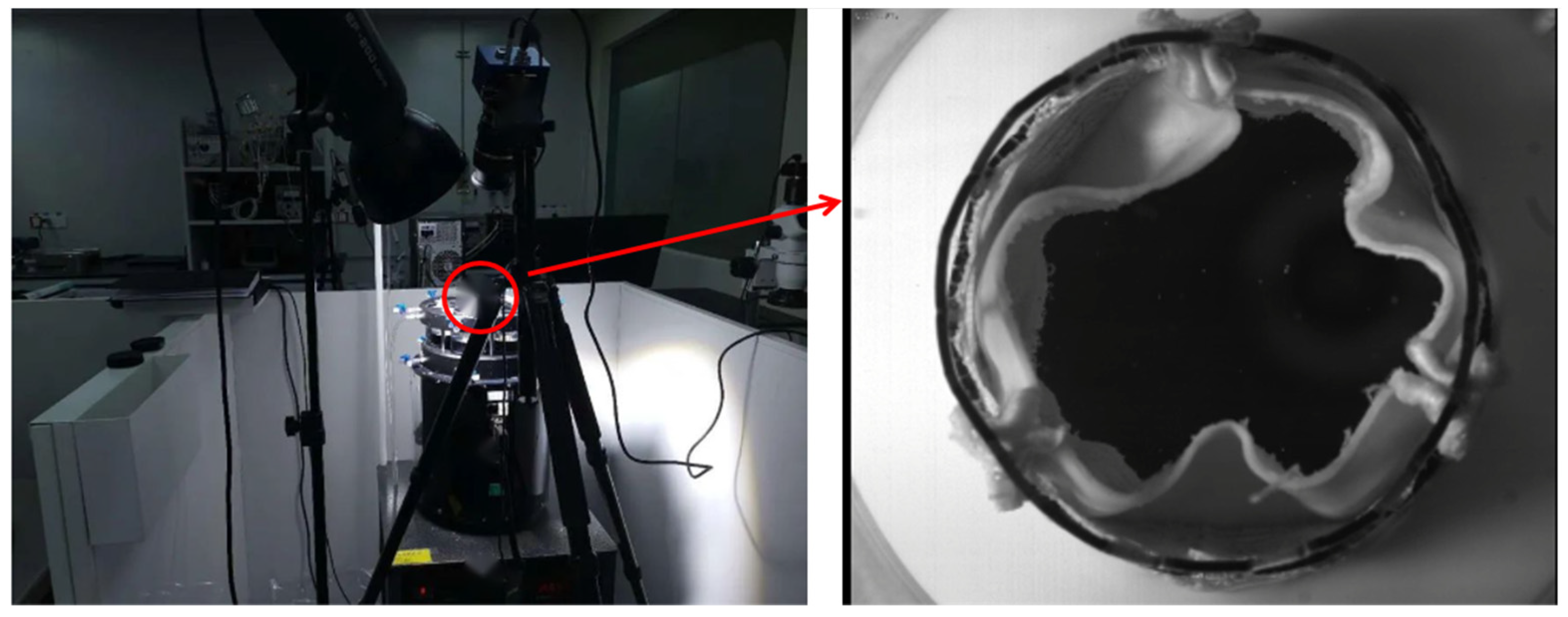 Fluids 09 00254 g002