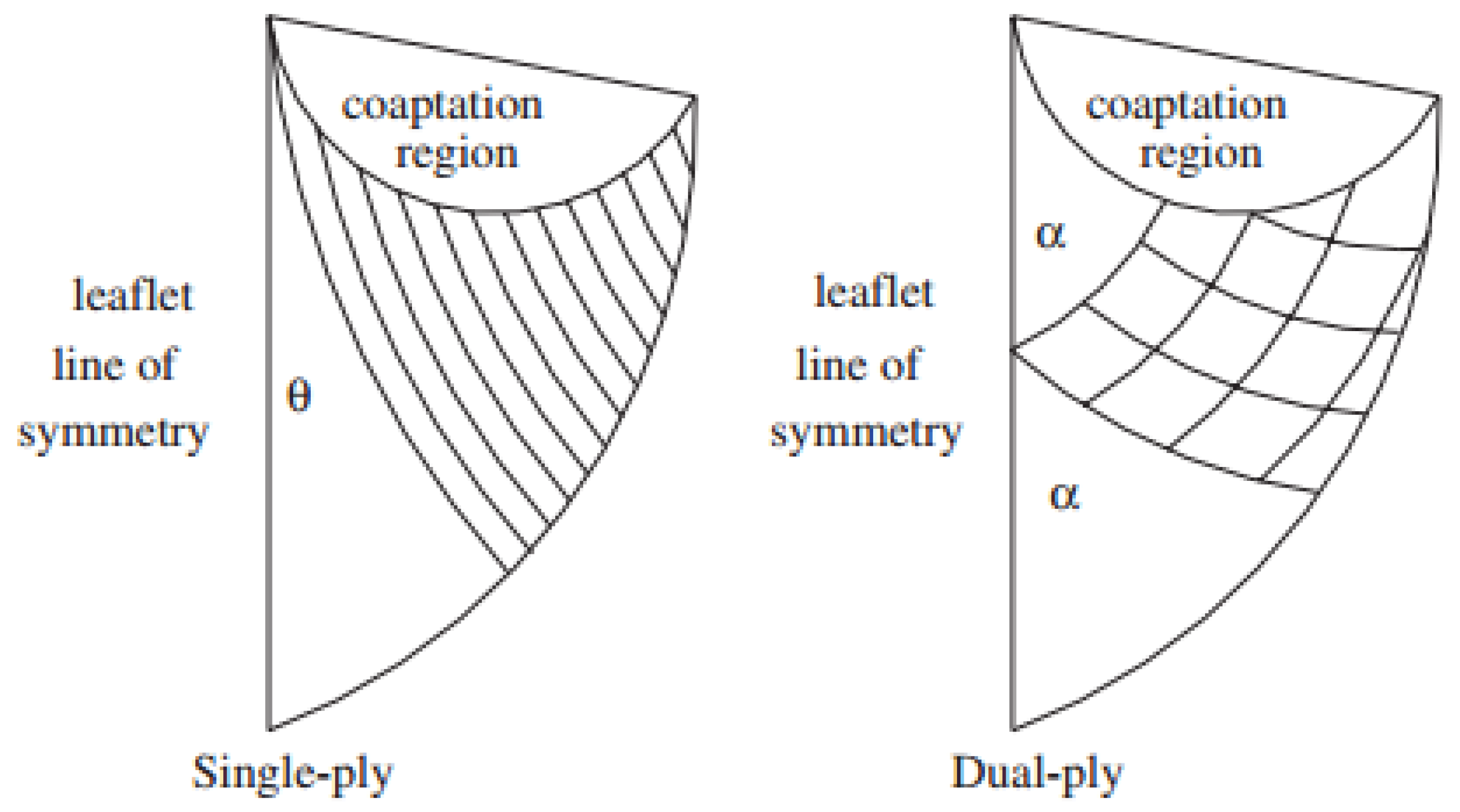 Fluids 09 00254 g006