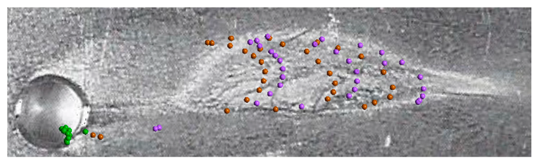 Fluids 09 00259 g011