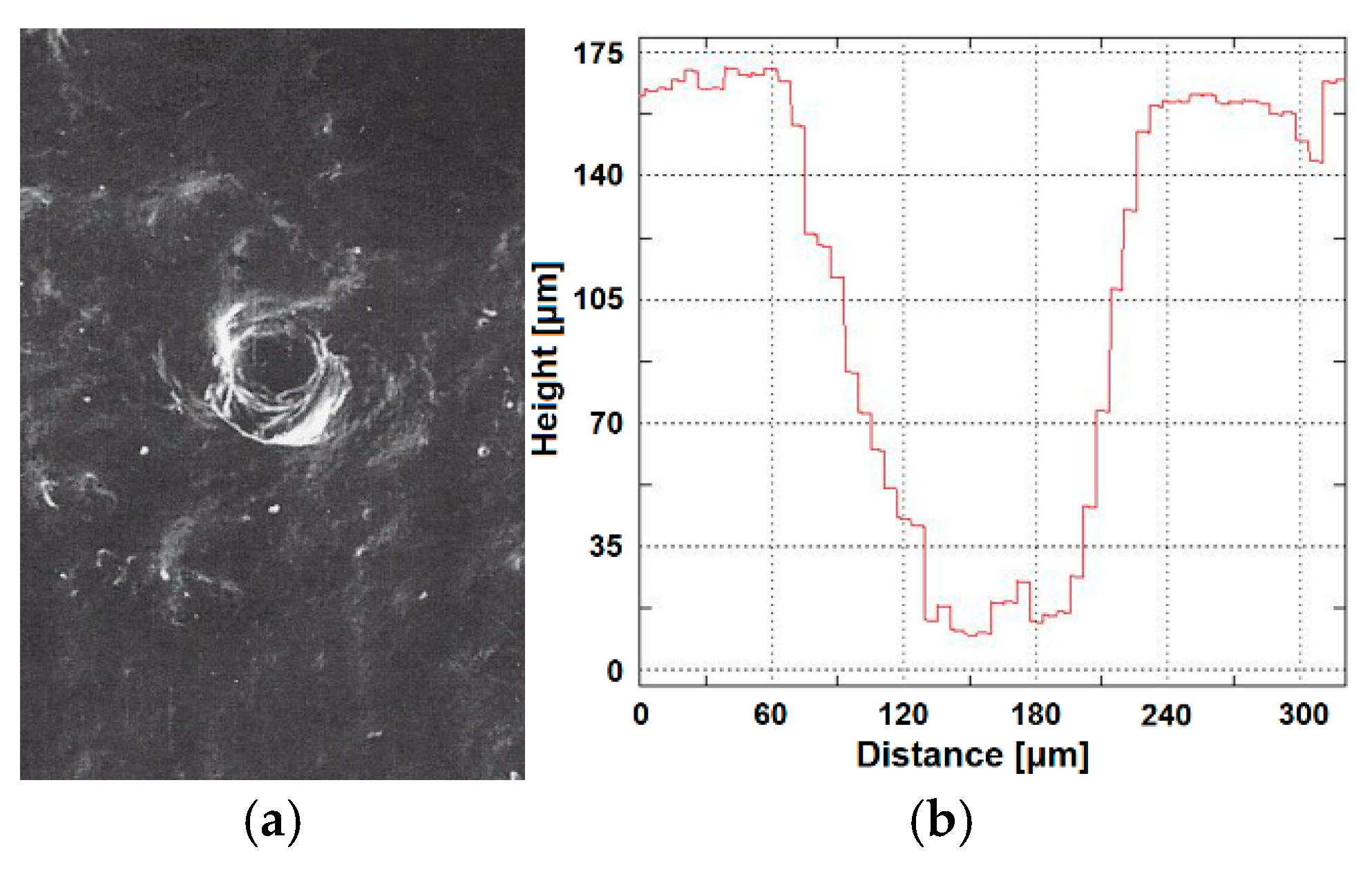 Fluids 09 00259 g016