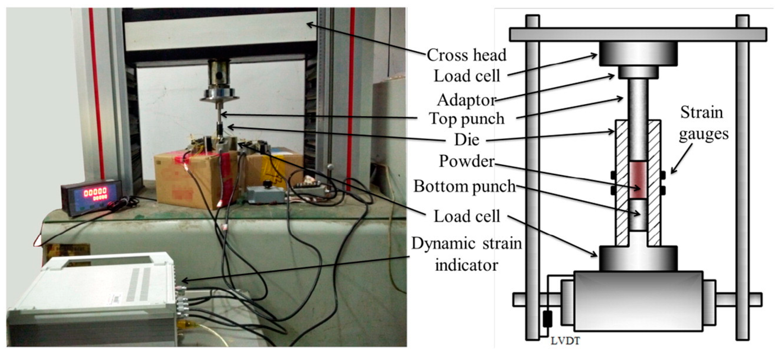 Fluids 09 00262 g001