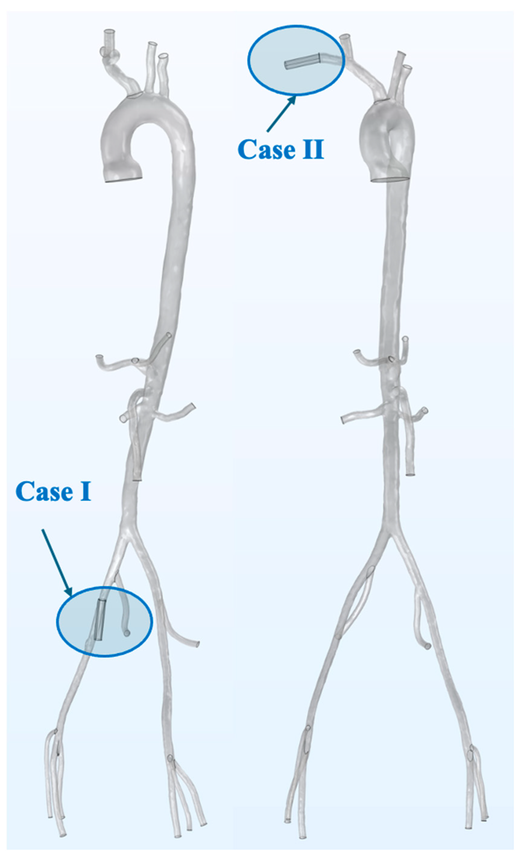 Fluids 09 00269 g002