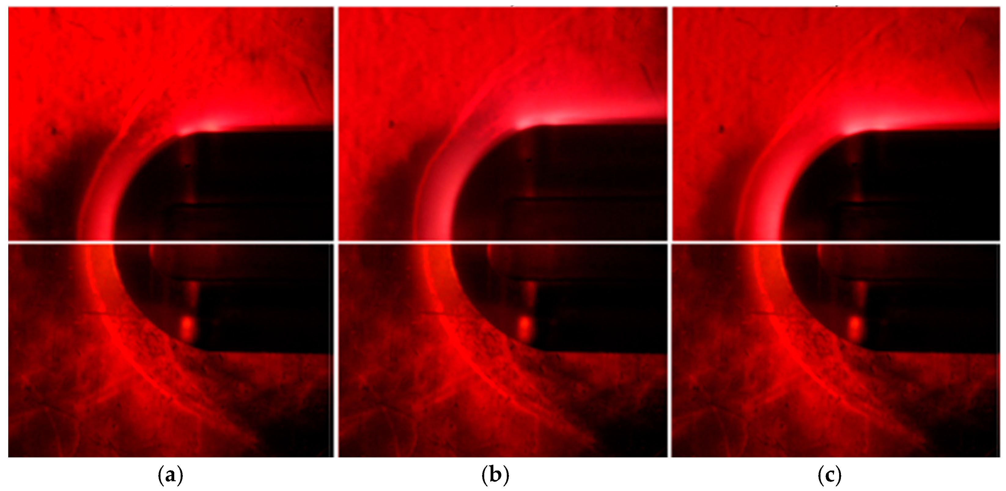 Fluids 09 00277 g007