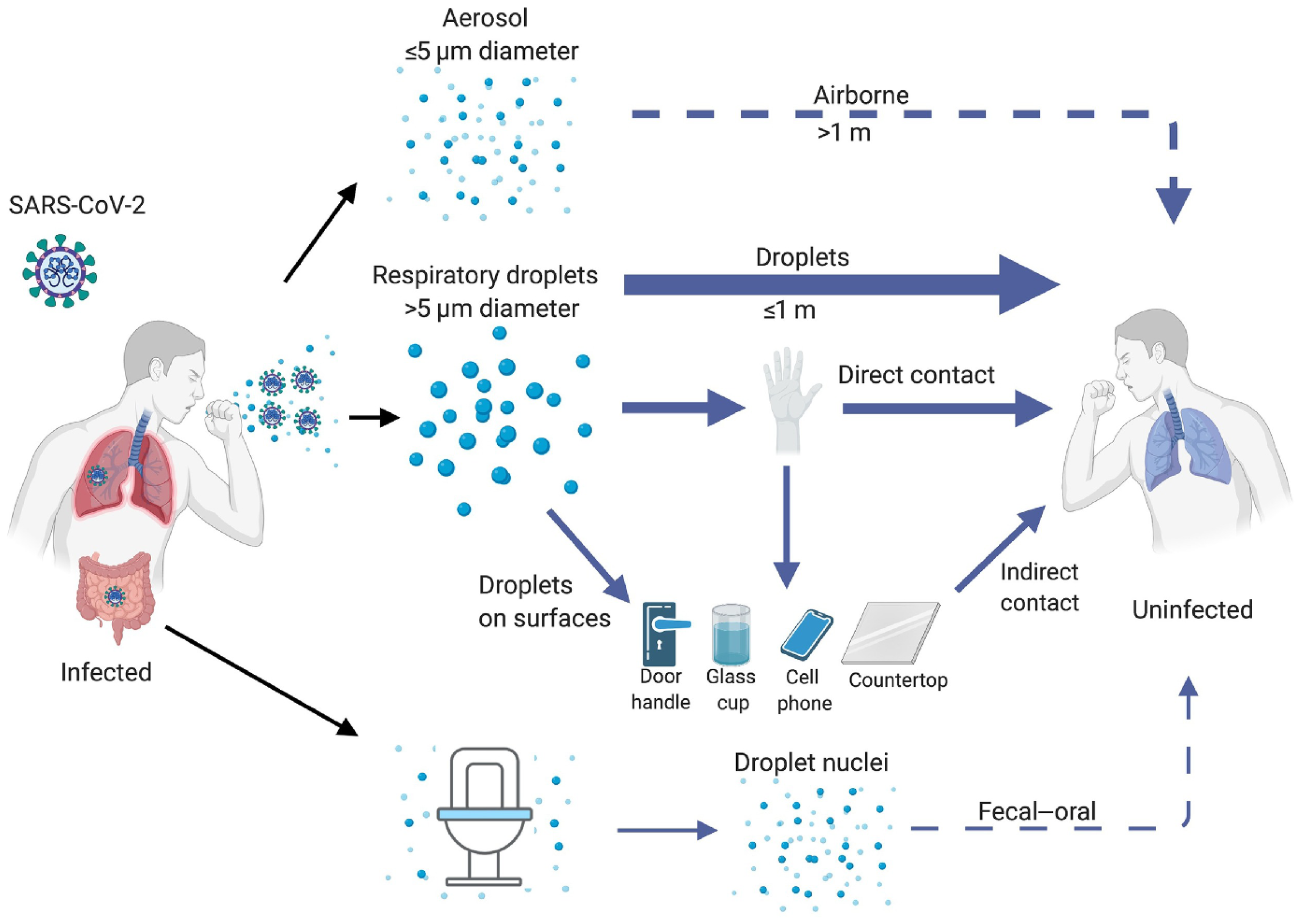 Fluids 09 00281 g002
