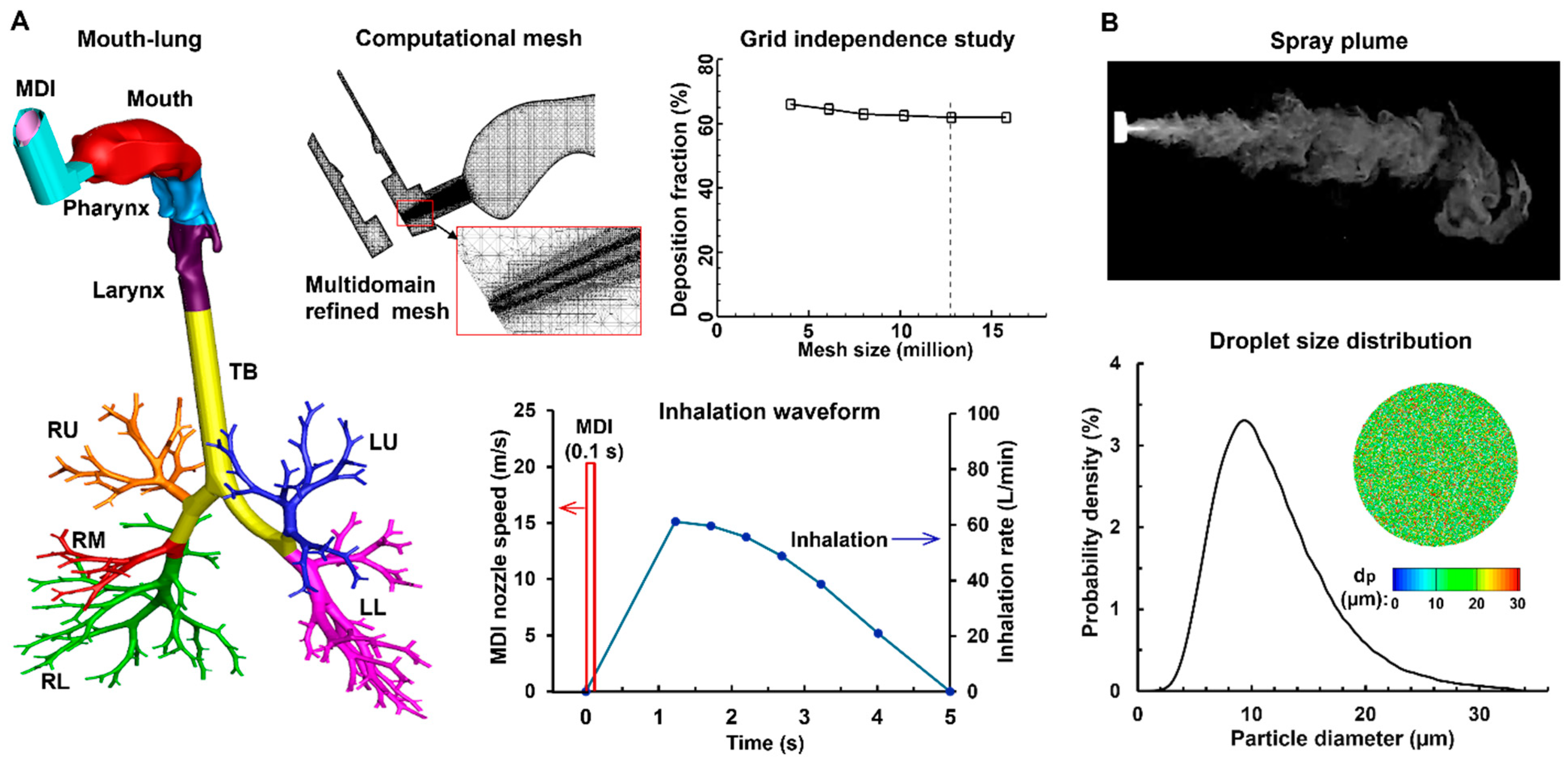 Fluids 09 00286 g001