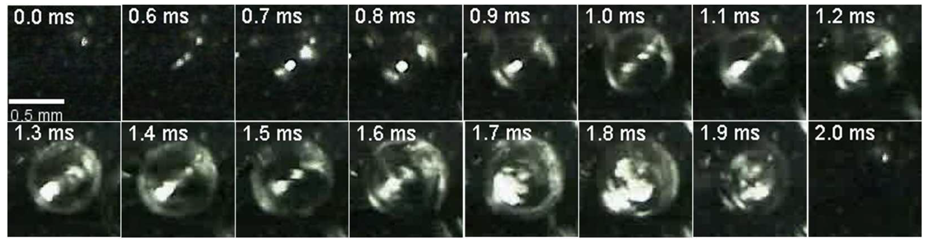 Fluids 09 00289 g003