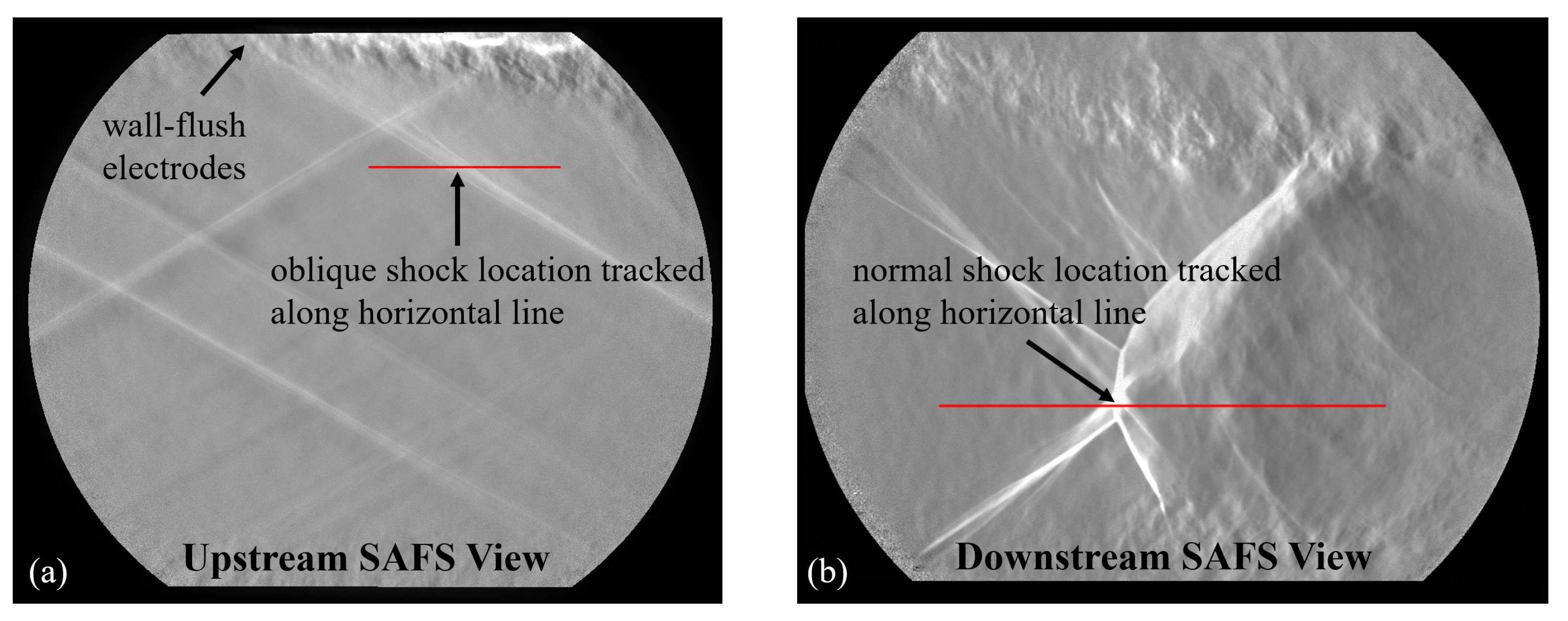 Fluids 09 00291 g005