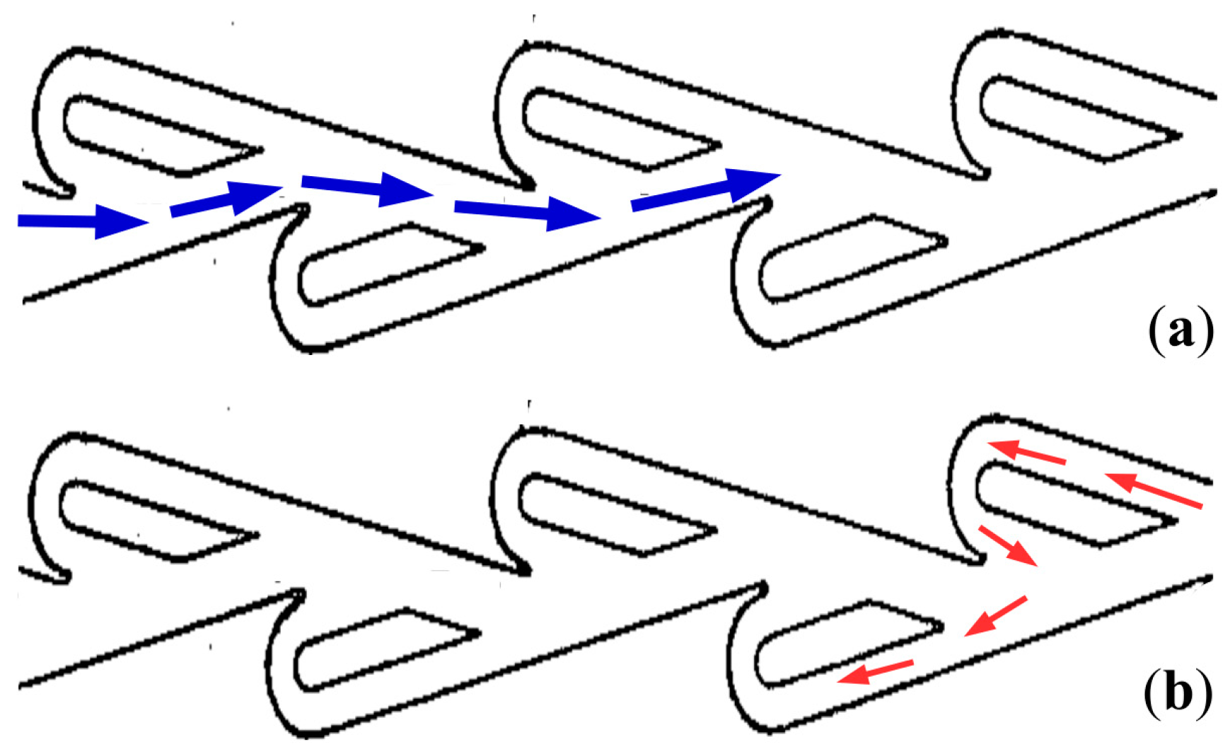 Fluids 09 00294 g001