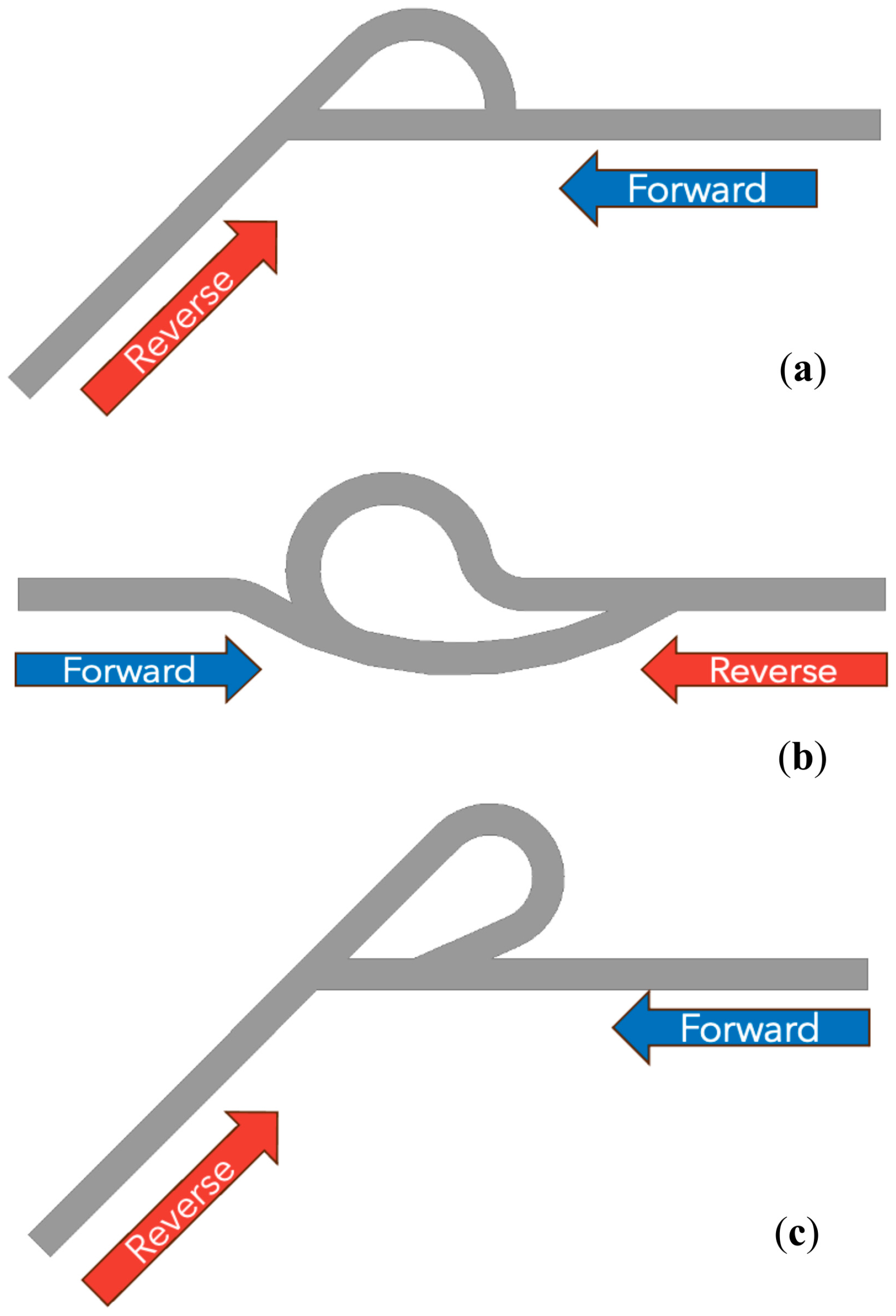 Fluids 09 00294 g002