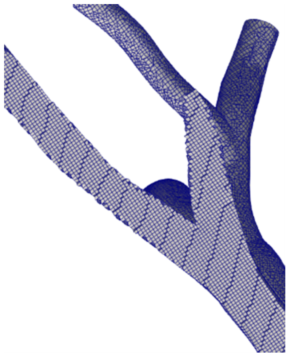 Fluids 10 00006 g002