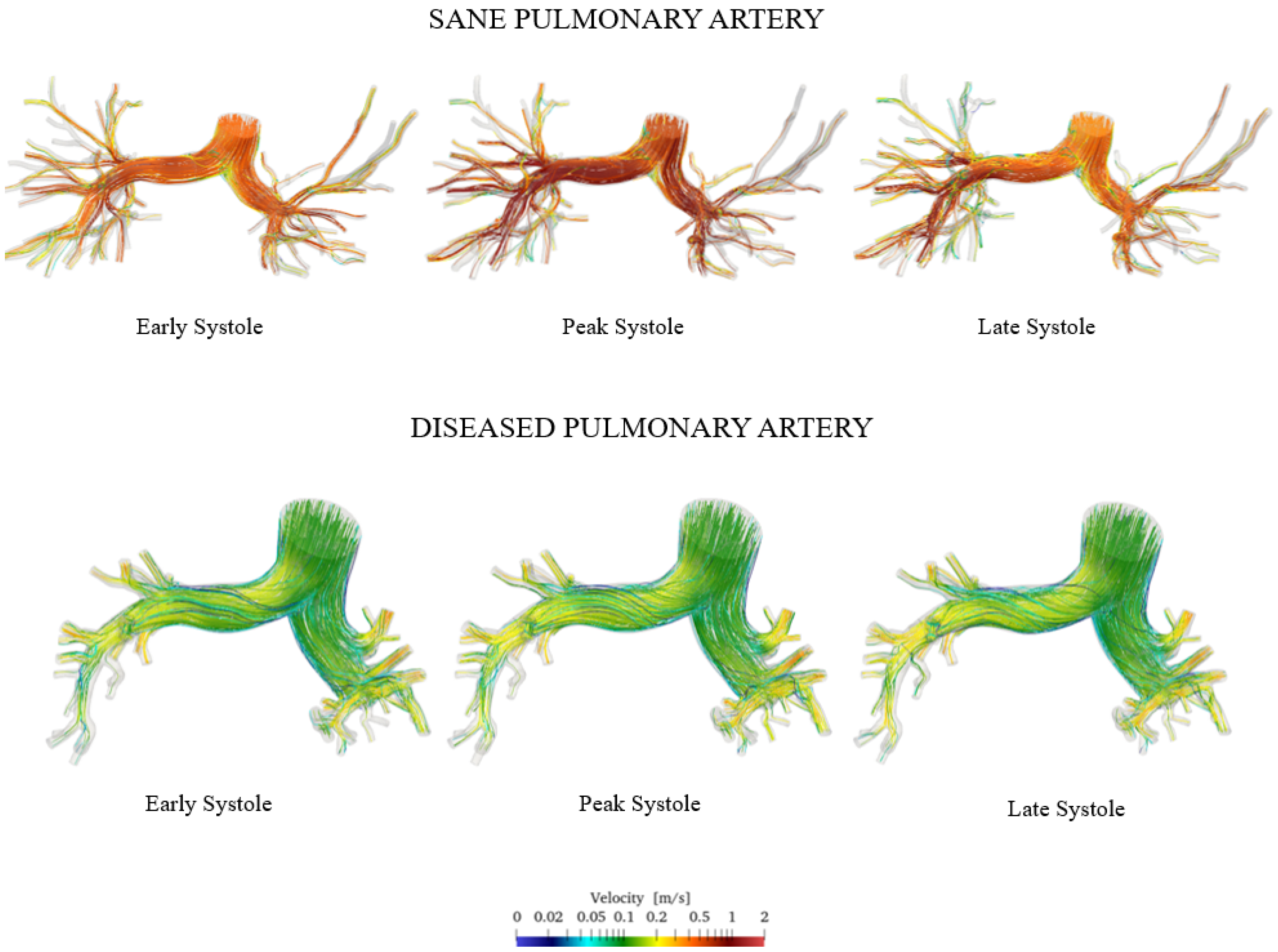 Fluids 10 00006 g010