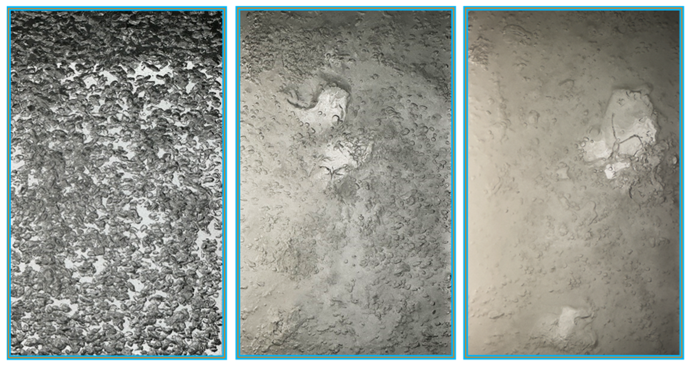 Fluids 10 00014 g006