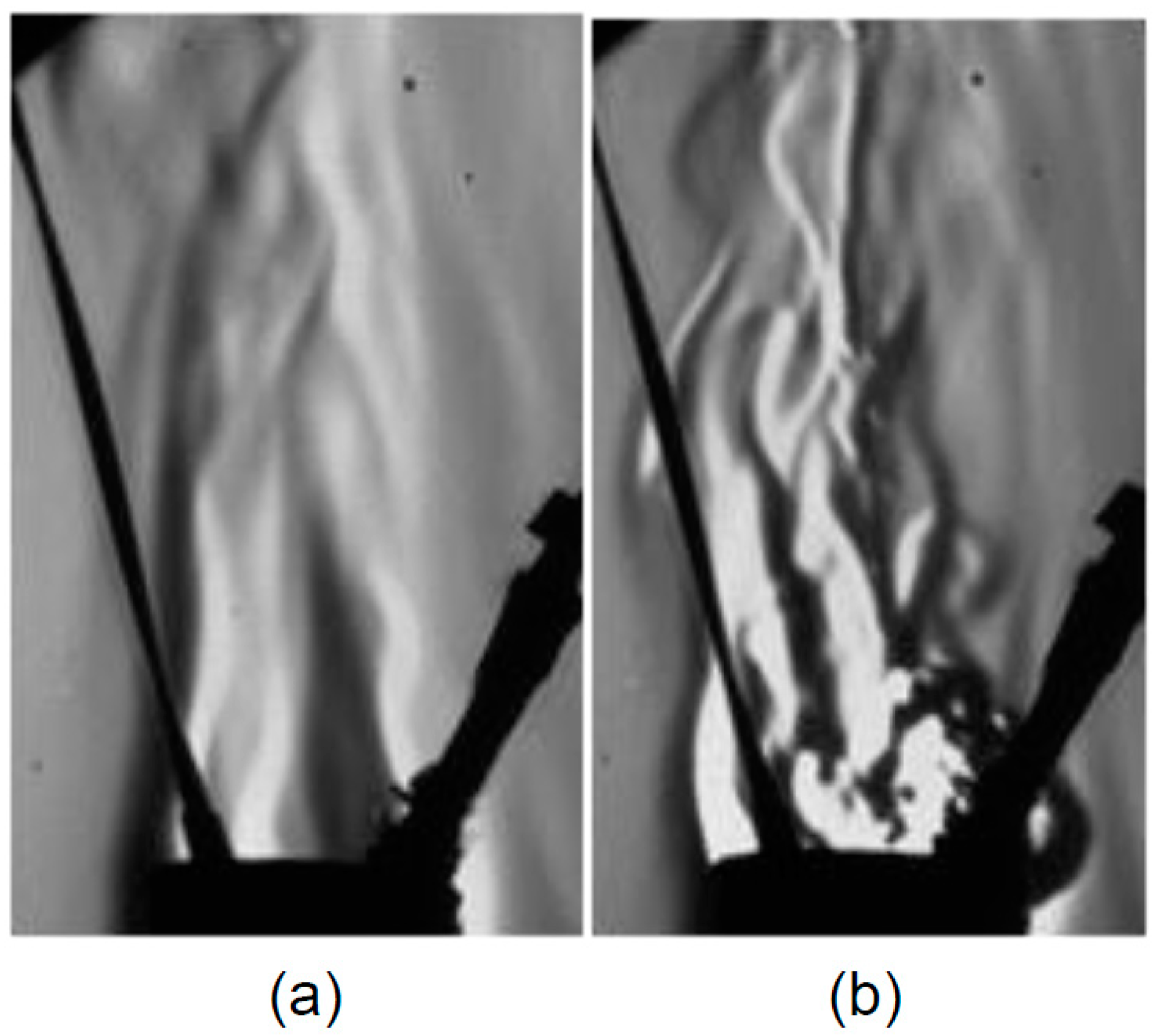 Fluids 10 00019 g006