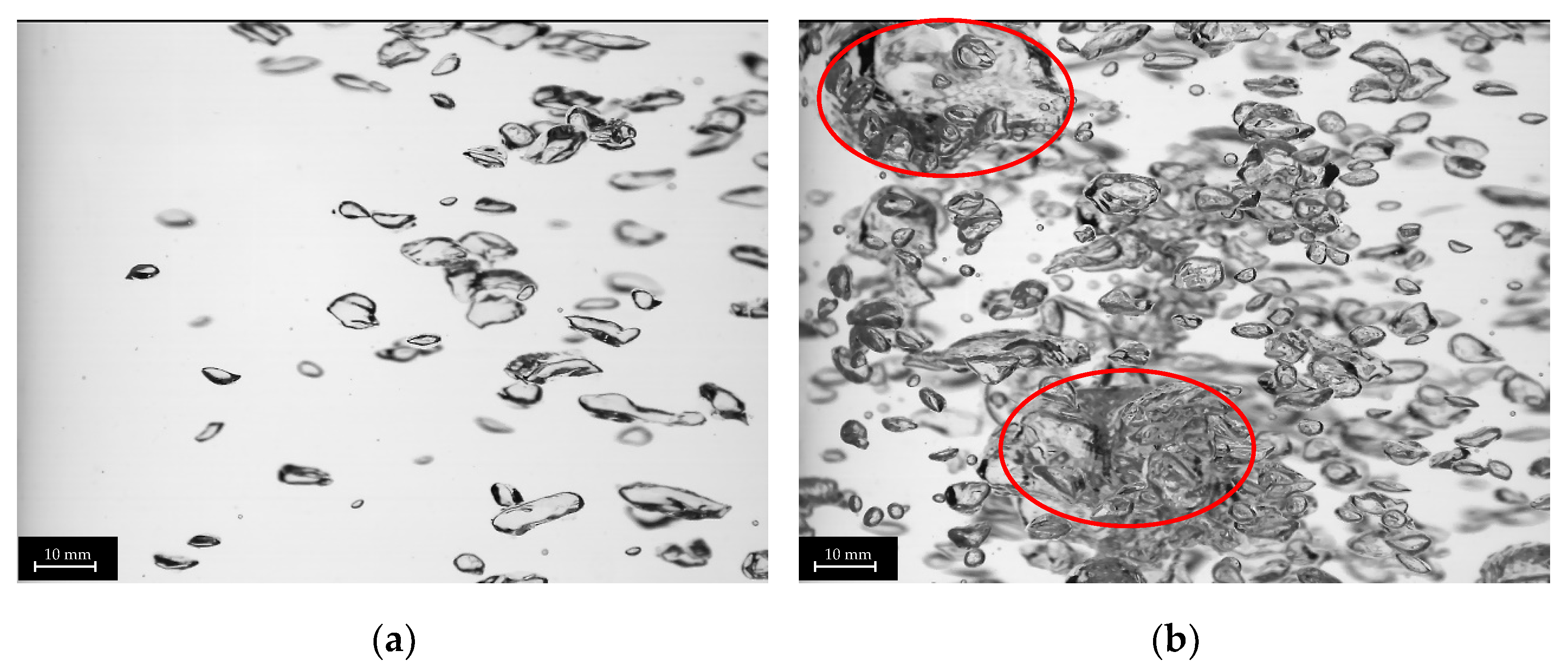 Fluids 10 00037 g007