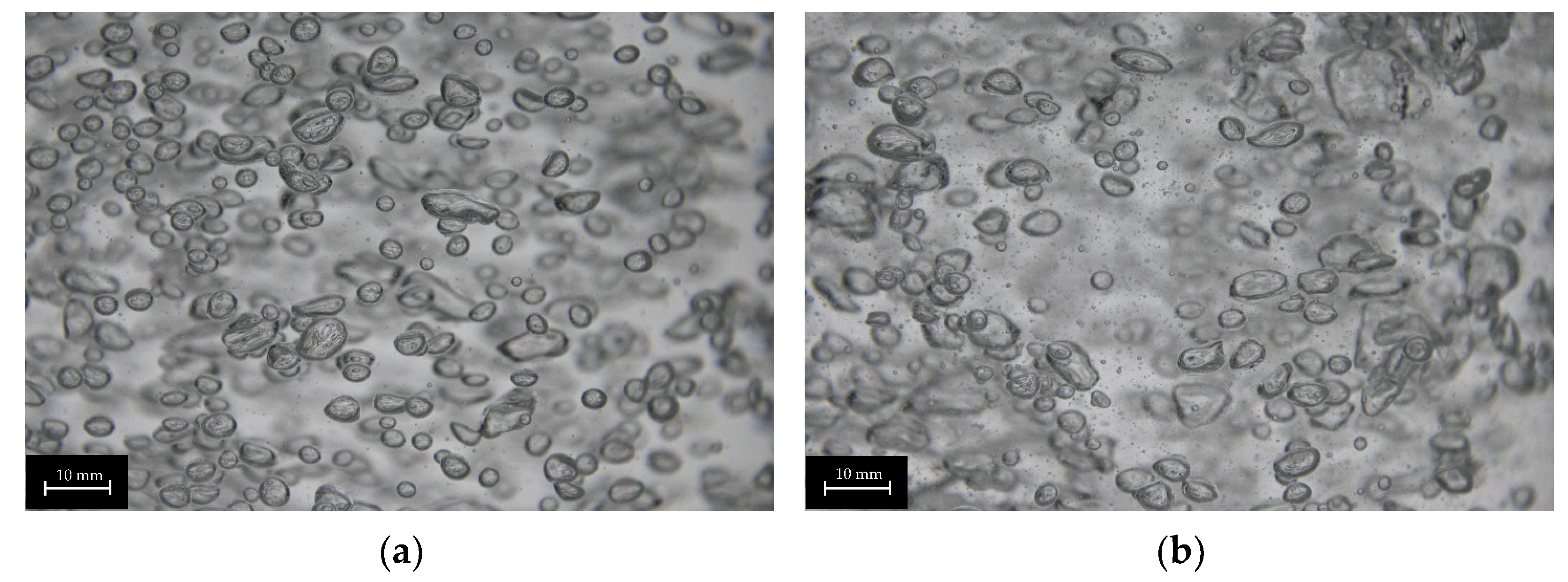 Fluids 10 00037 g009