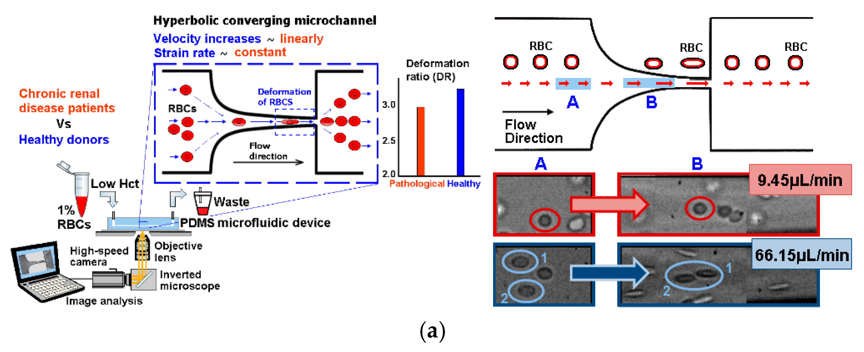 Fluids 10 00041 g004a