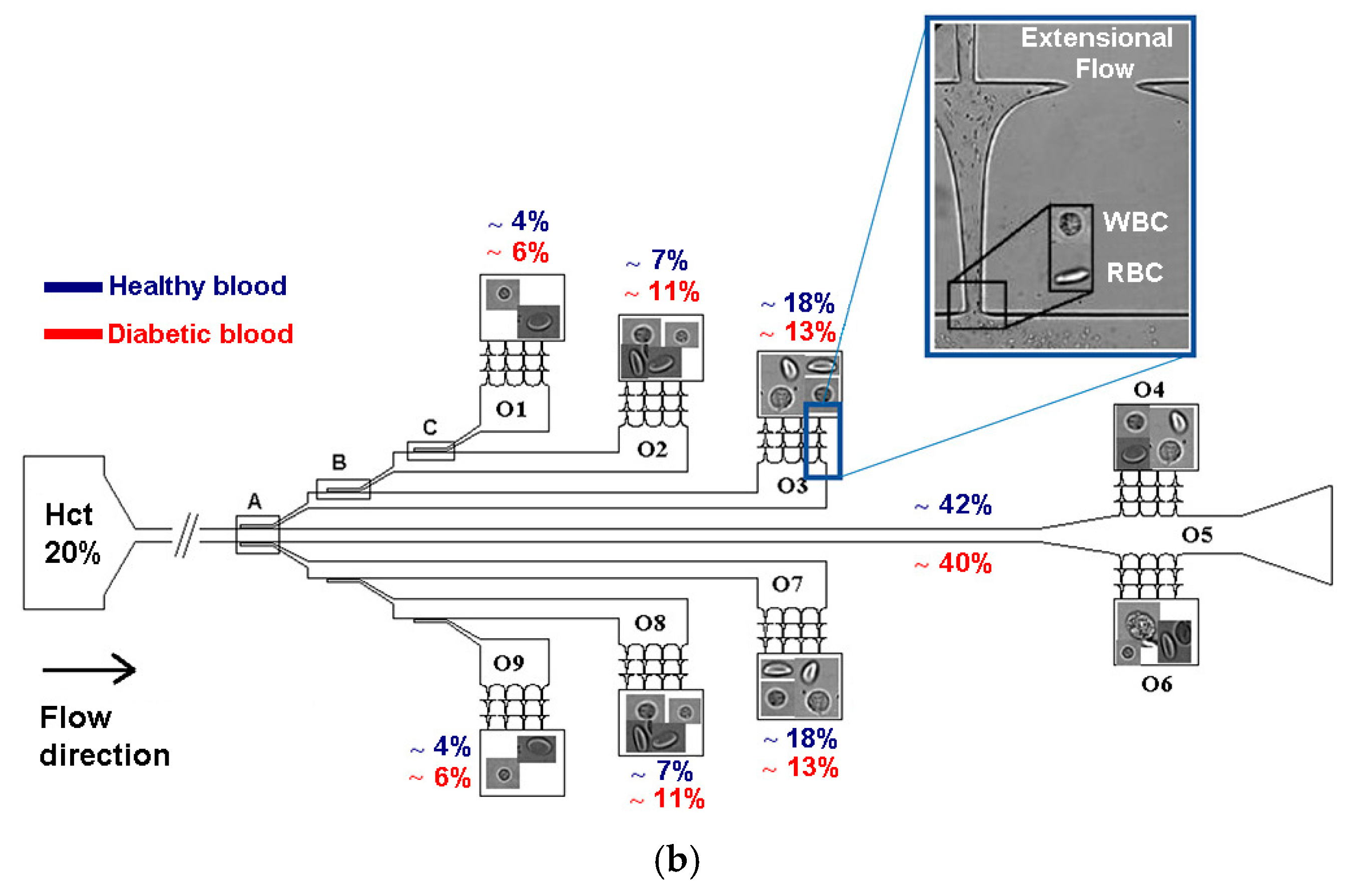 Fluids 10 00041 g004b