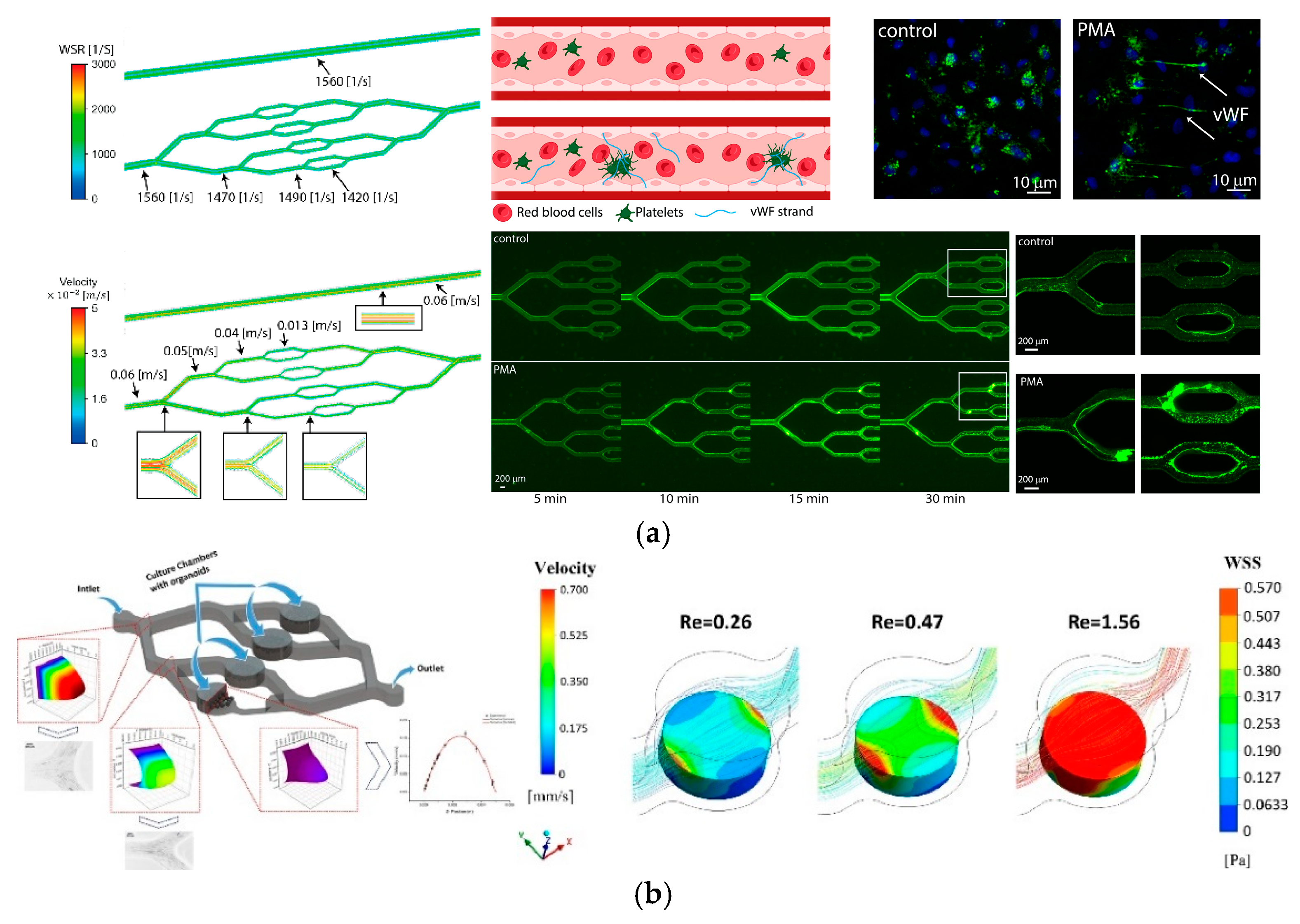 Fluids 10 00041 g006