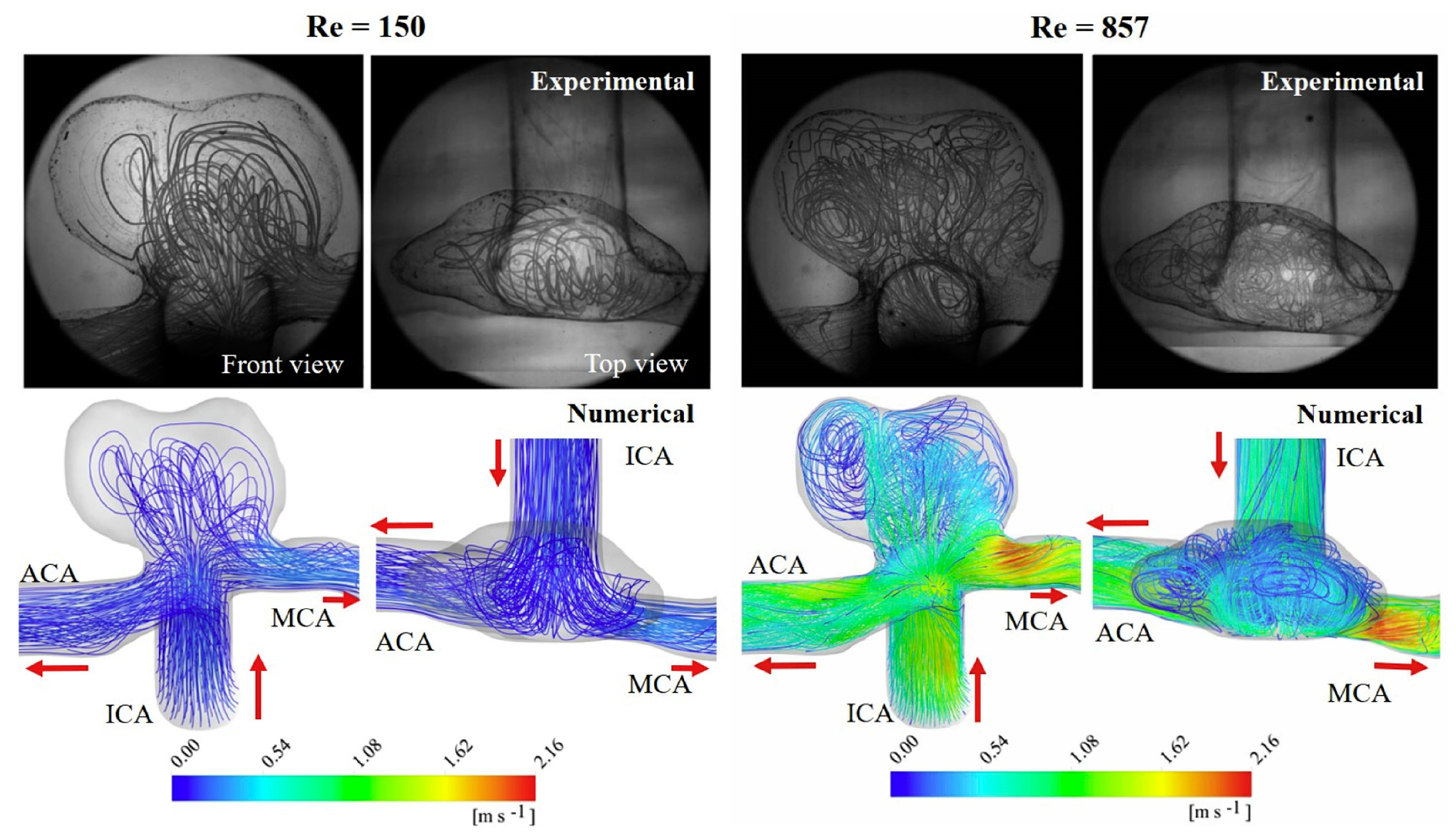 Fluids 10 00041 g008