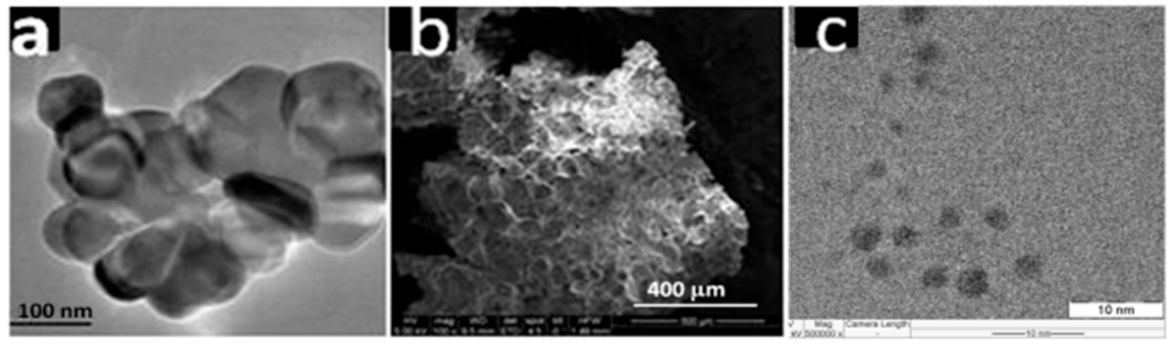 Fluids 10 00082 g006