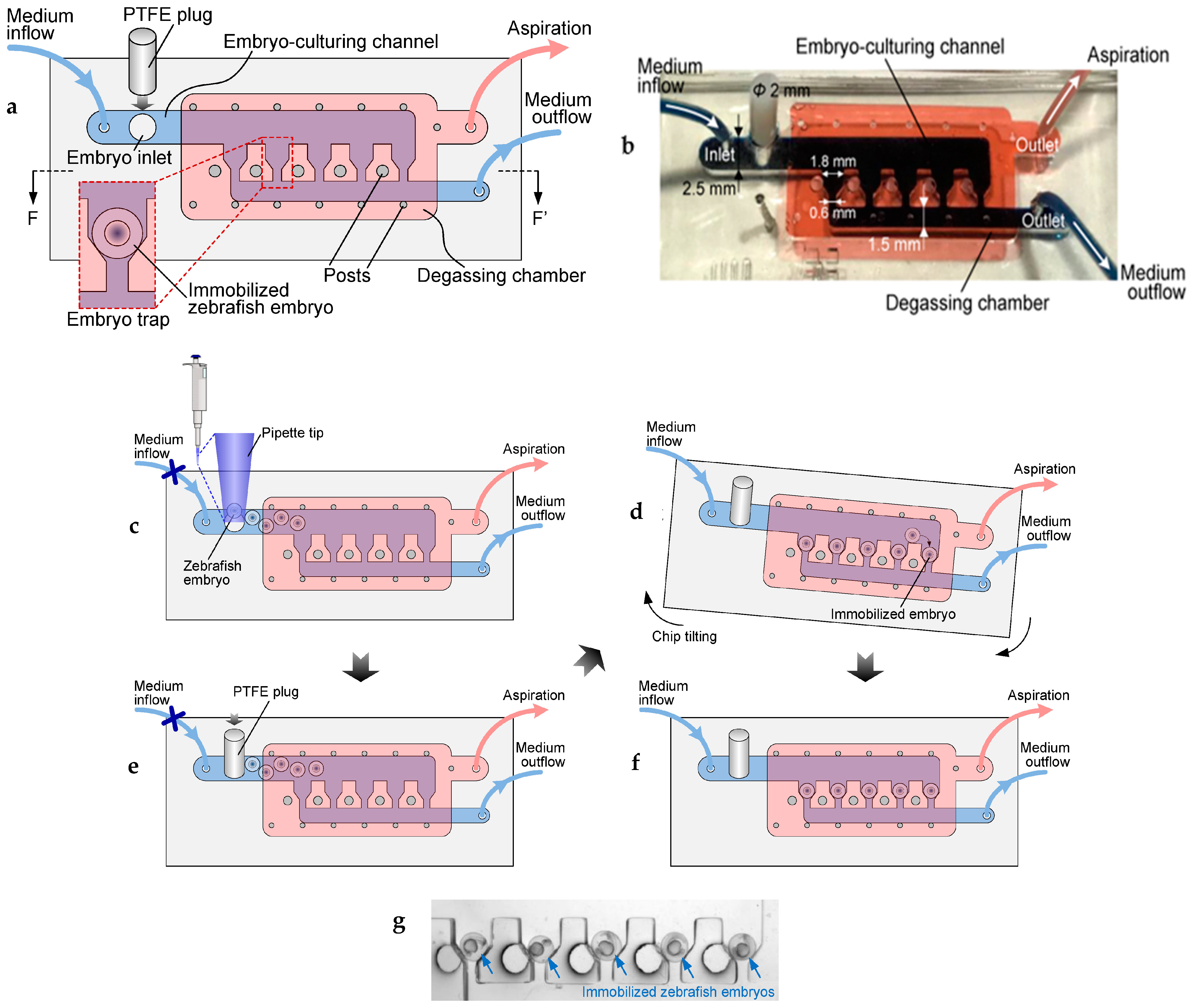 Fluids 10 00088 g002