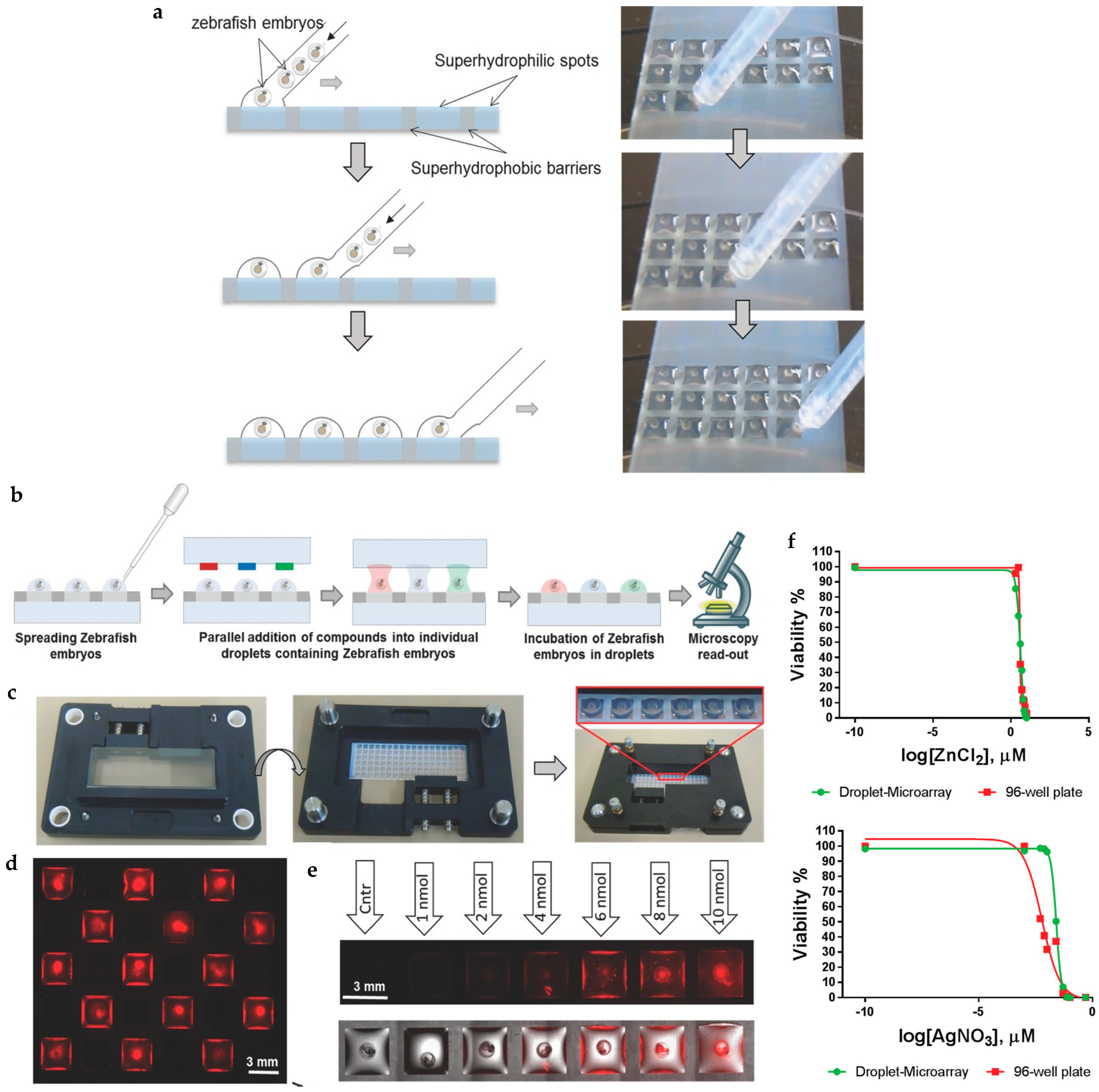 Fluids 10 00088 g004