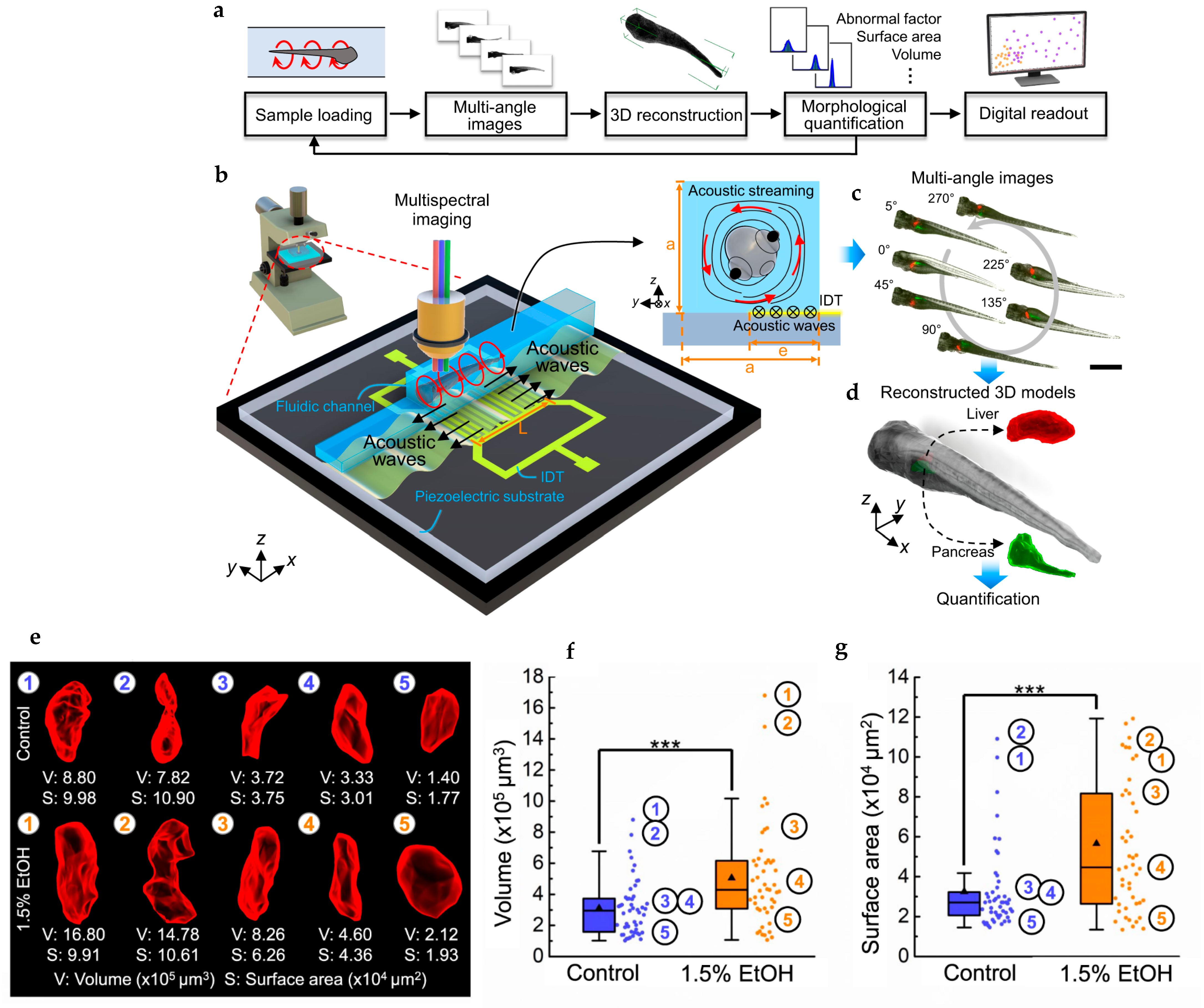 Fluids 10 00088 g006