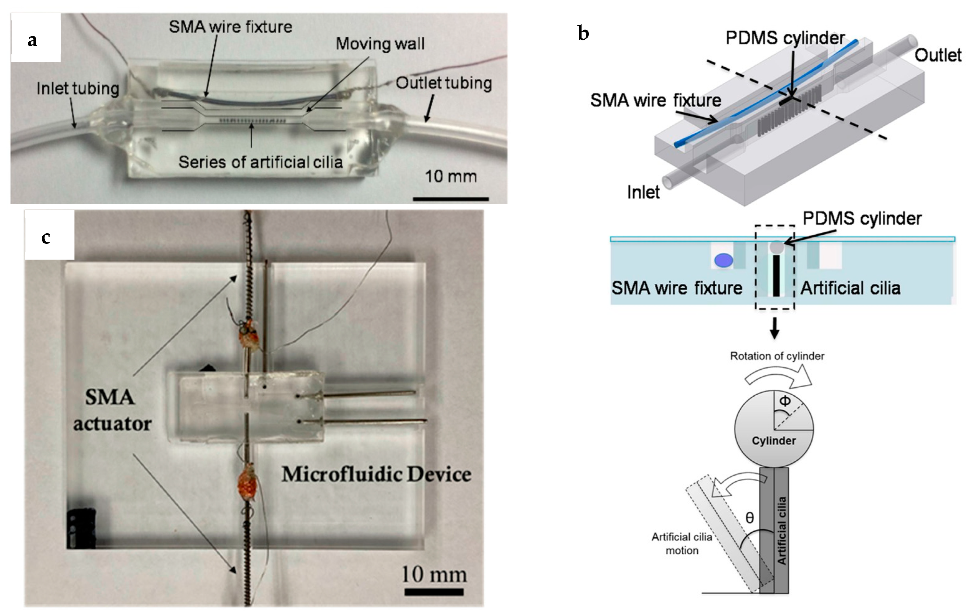 Fluids 10 00088 g008