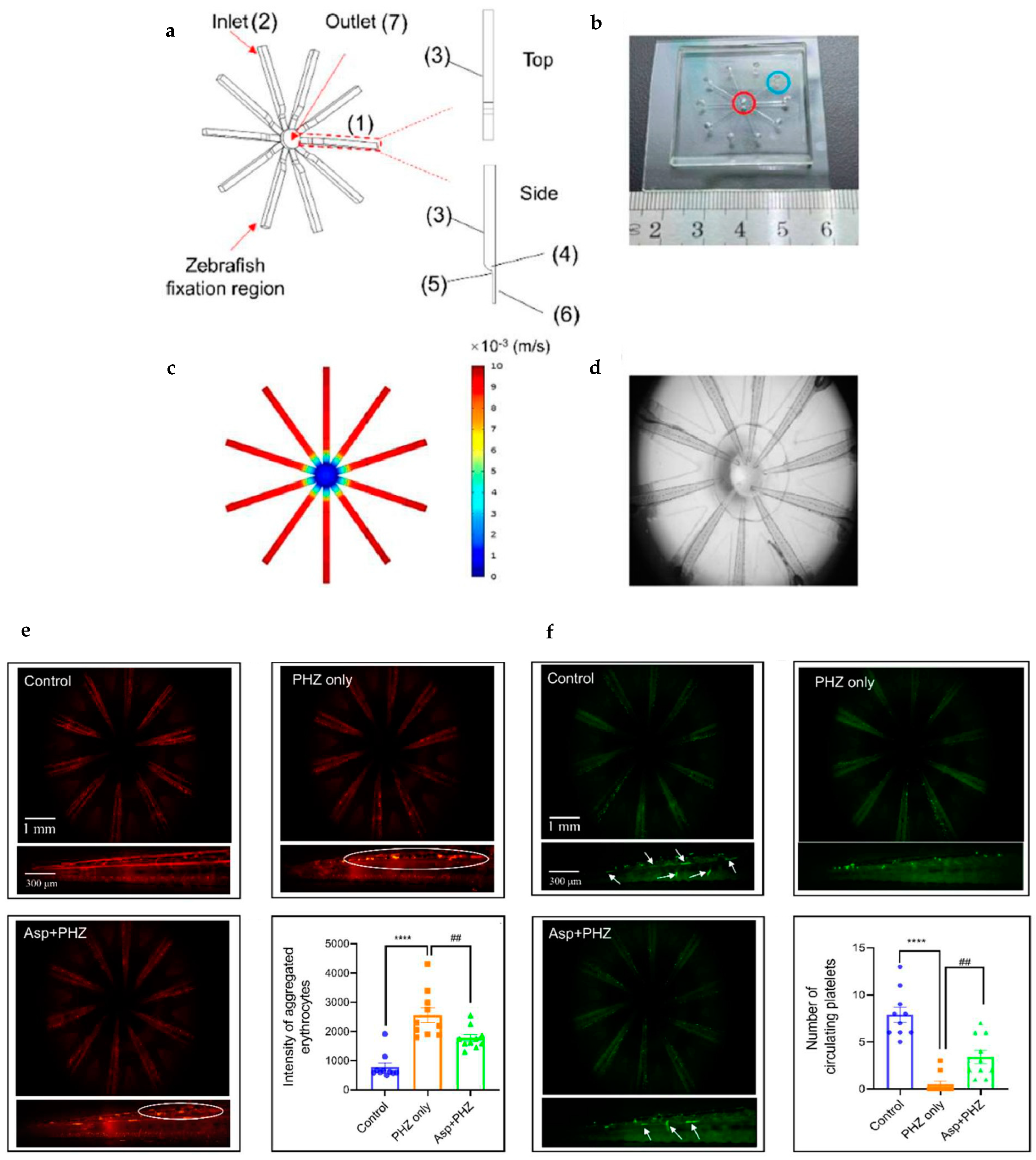 Fluids 10 00088 g011