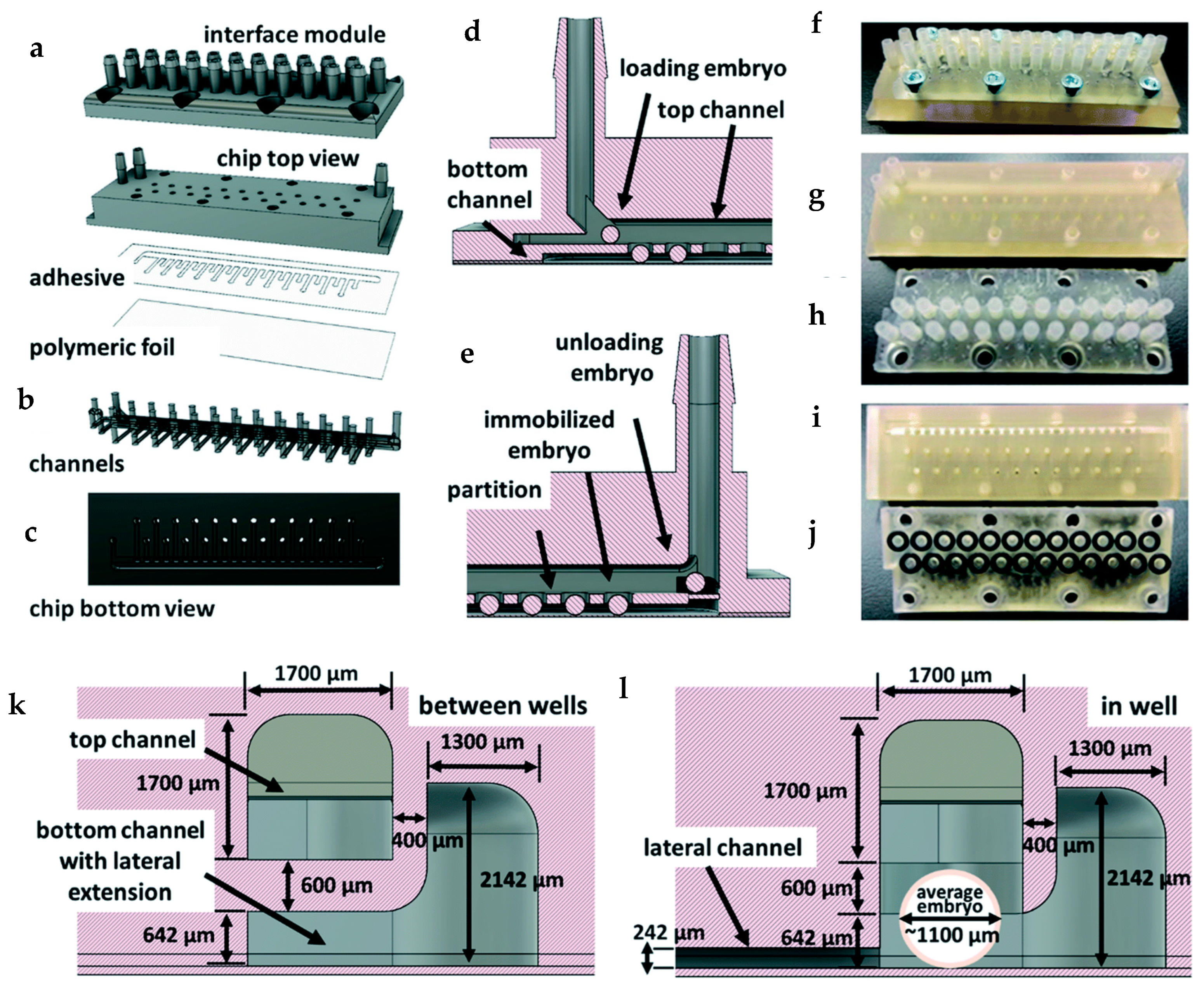 Fluids 10 00088 g012