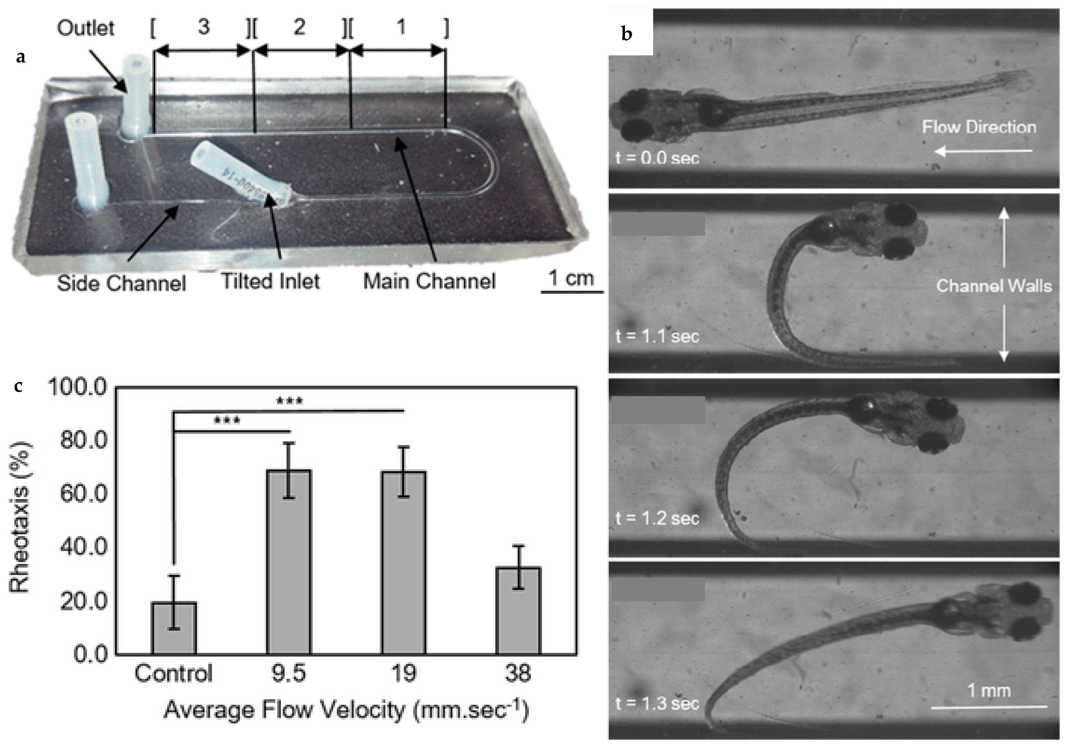 Fluids 10 00088 g017