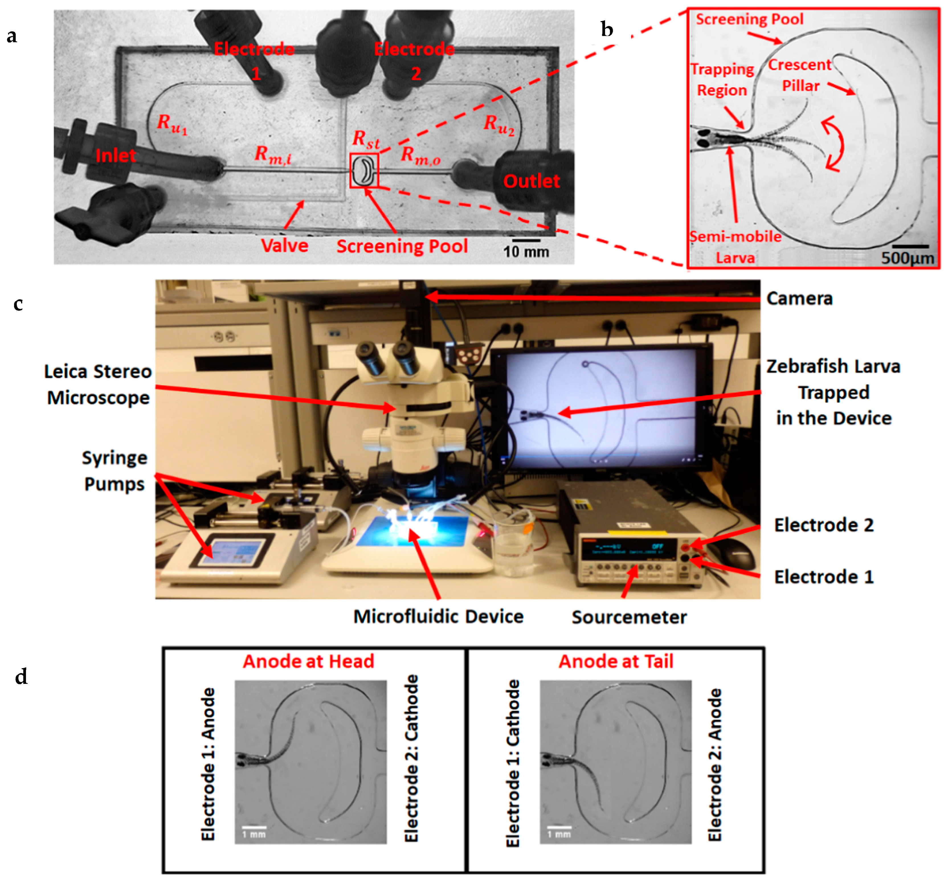 Fluids 10 00088 g019