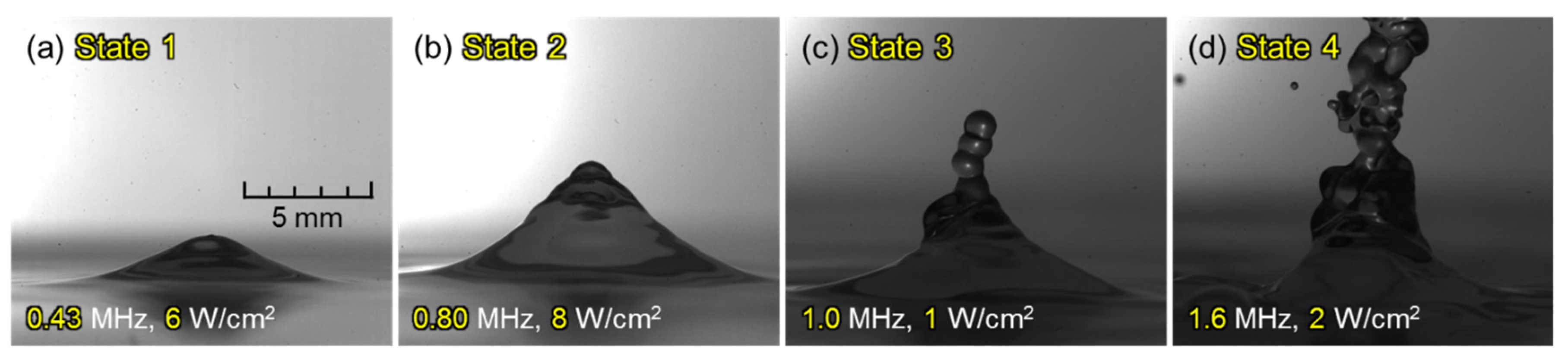 Fluids 10 00089 g002