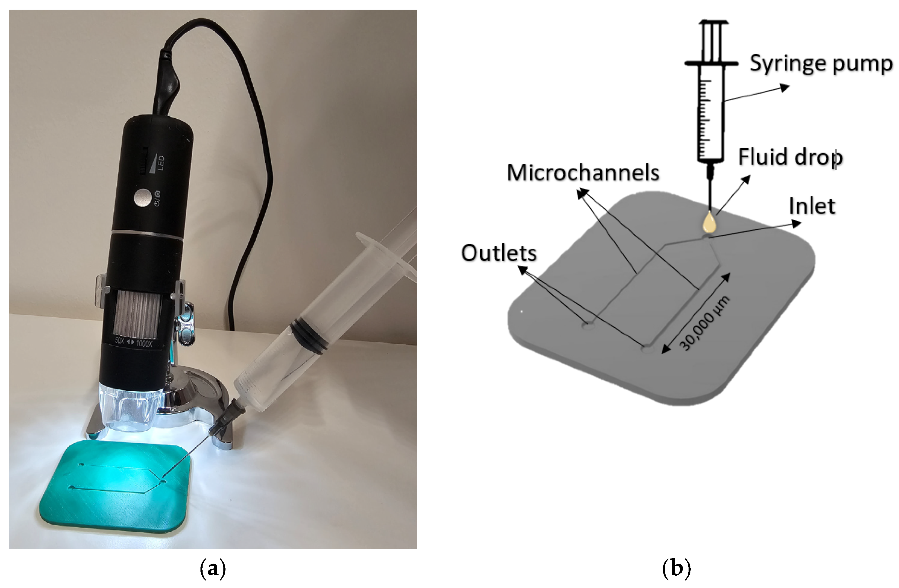 Fluids 10 00091 g001