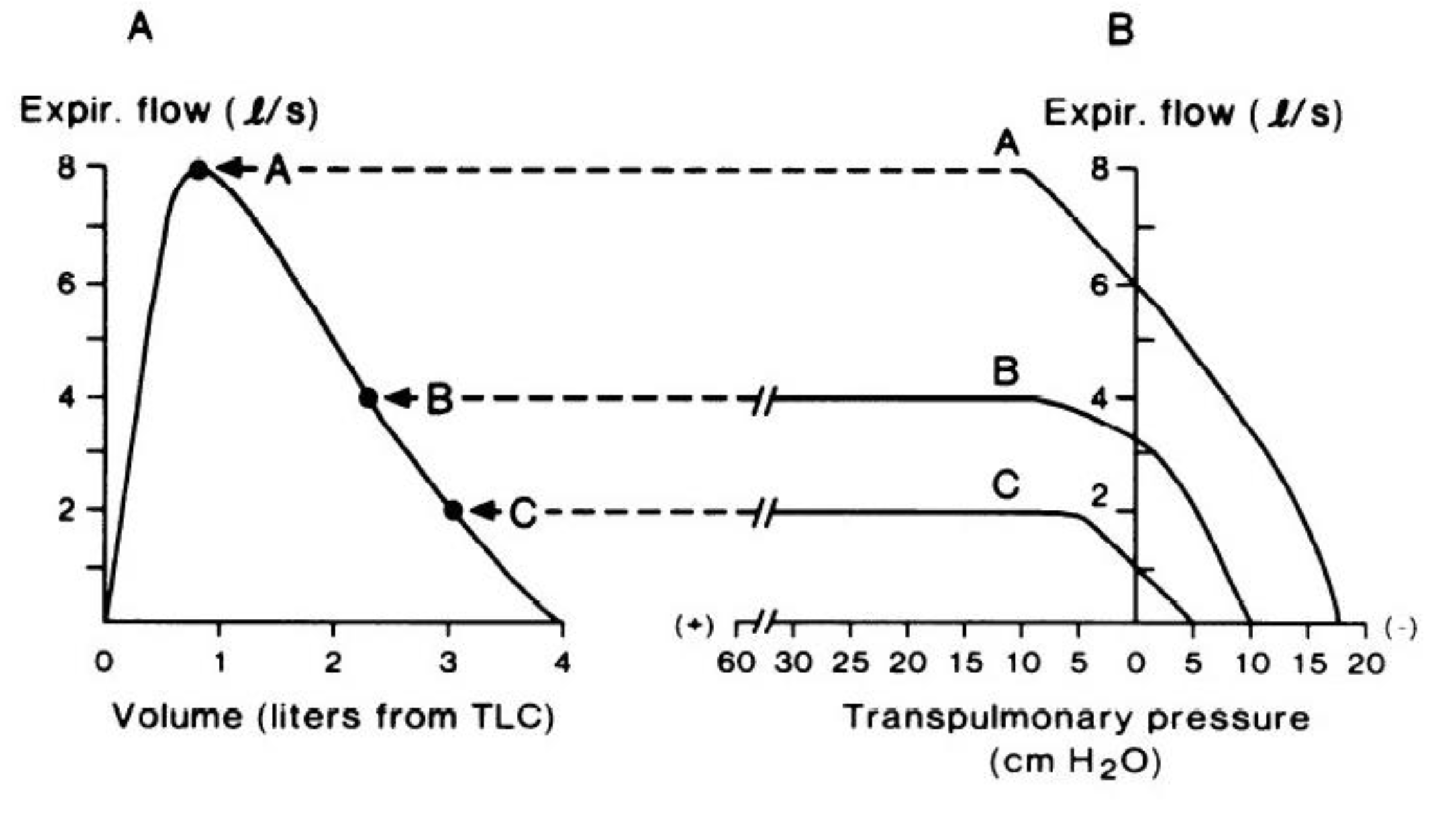 Fluids 10 00094 g001