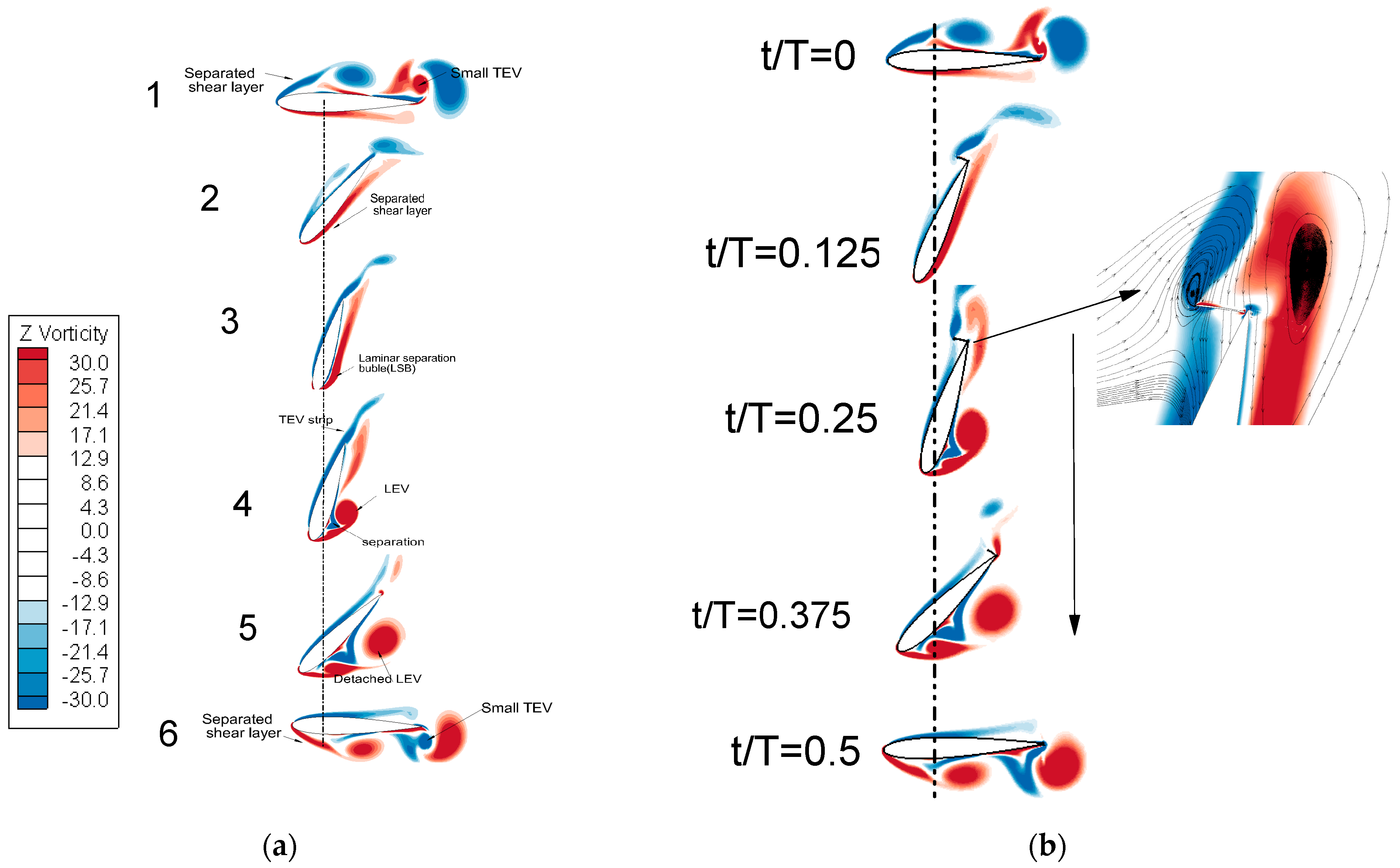 Fluids 10 00104 g008