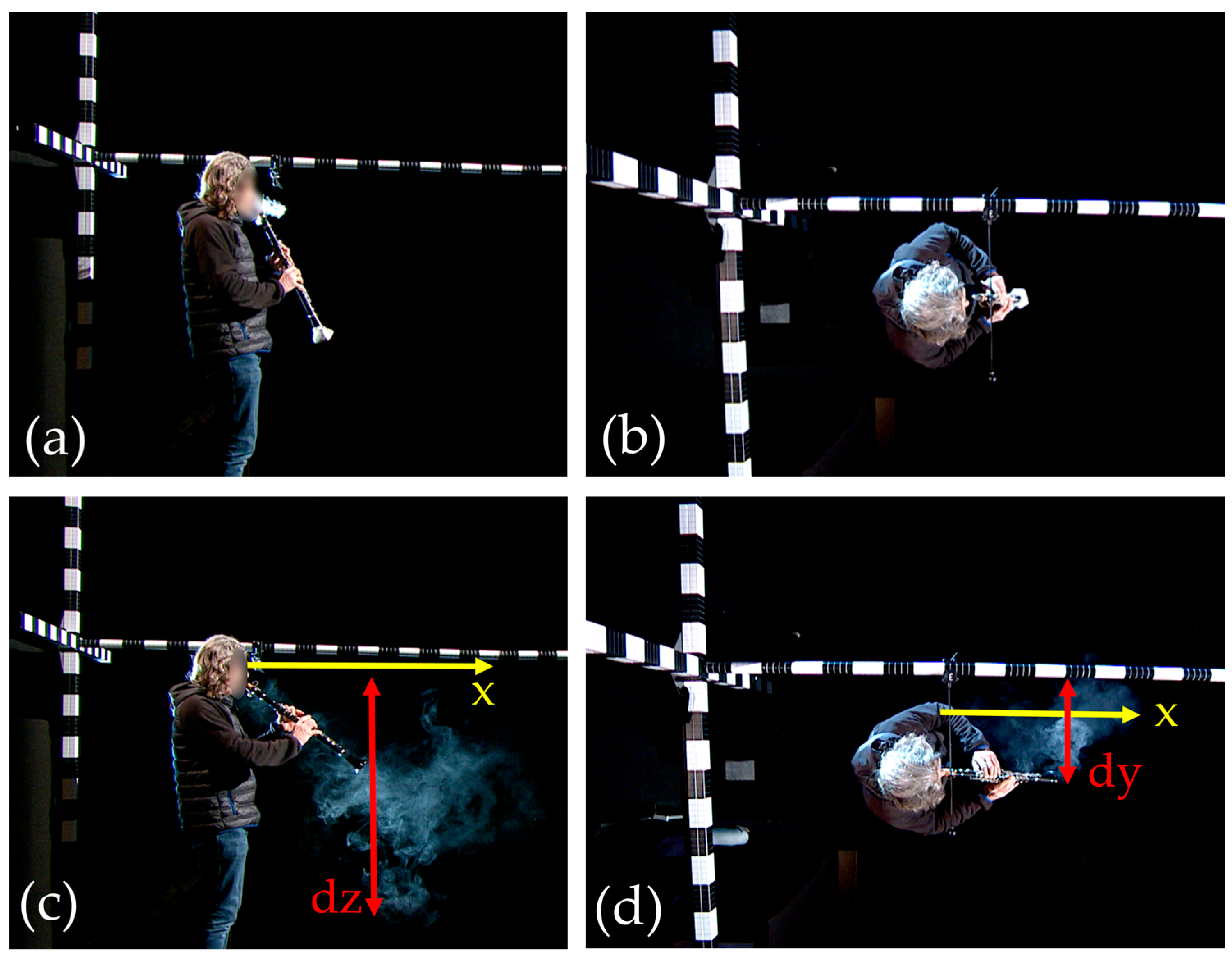Fluids 10 00116 g003