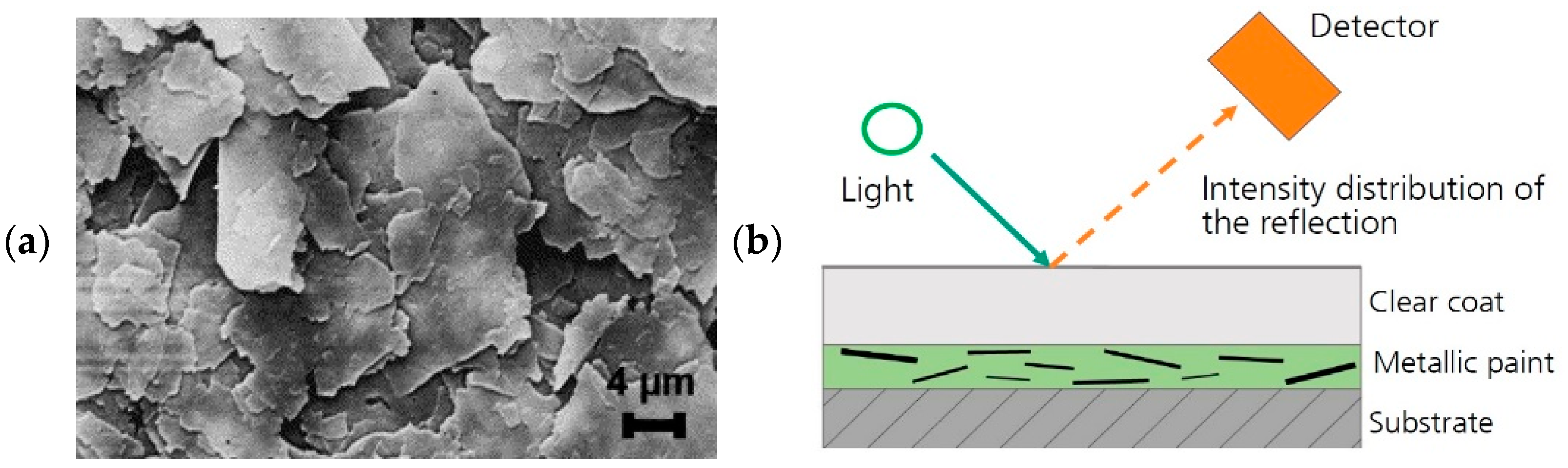 Fluids 10 00131 g016