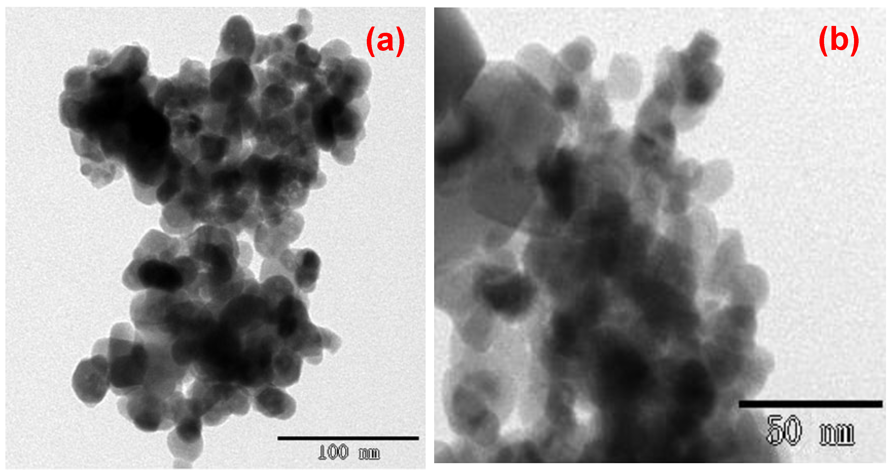 Fluids 10 00141 g010
