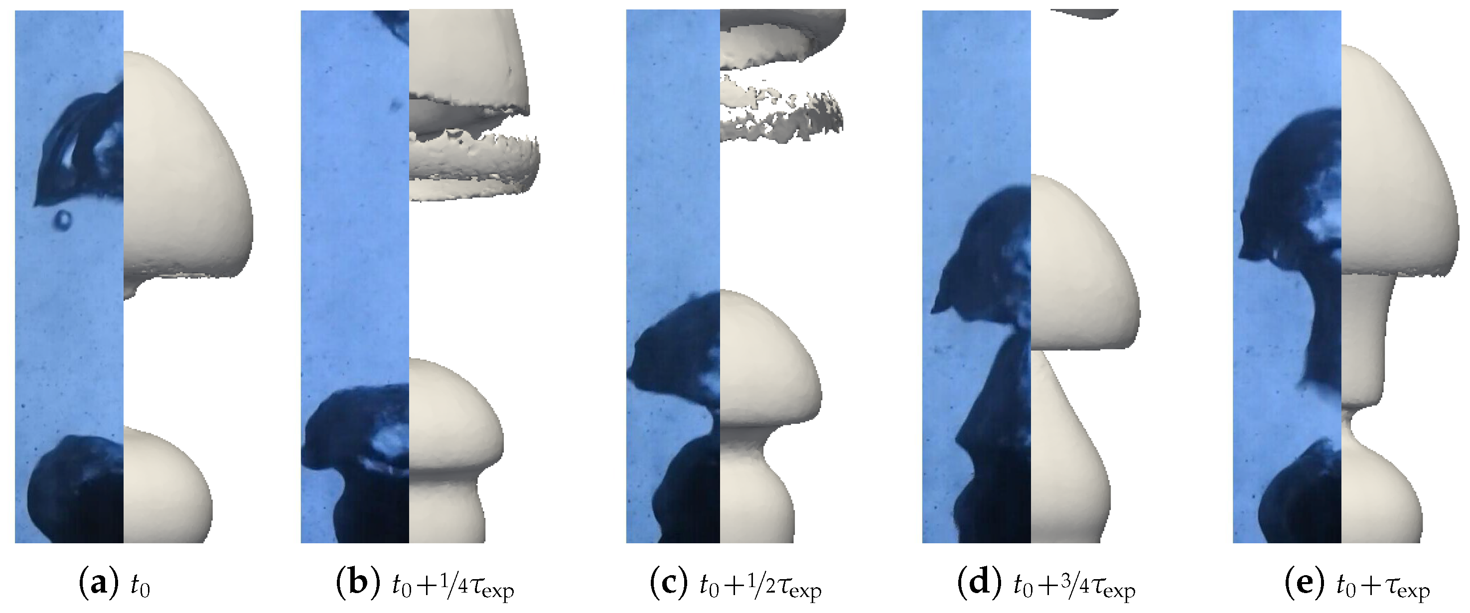 Fluids 10 00162 g019