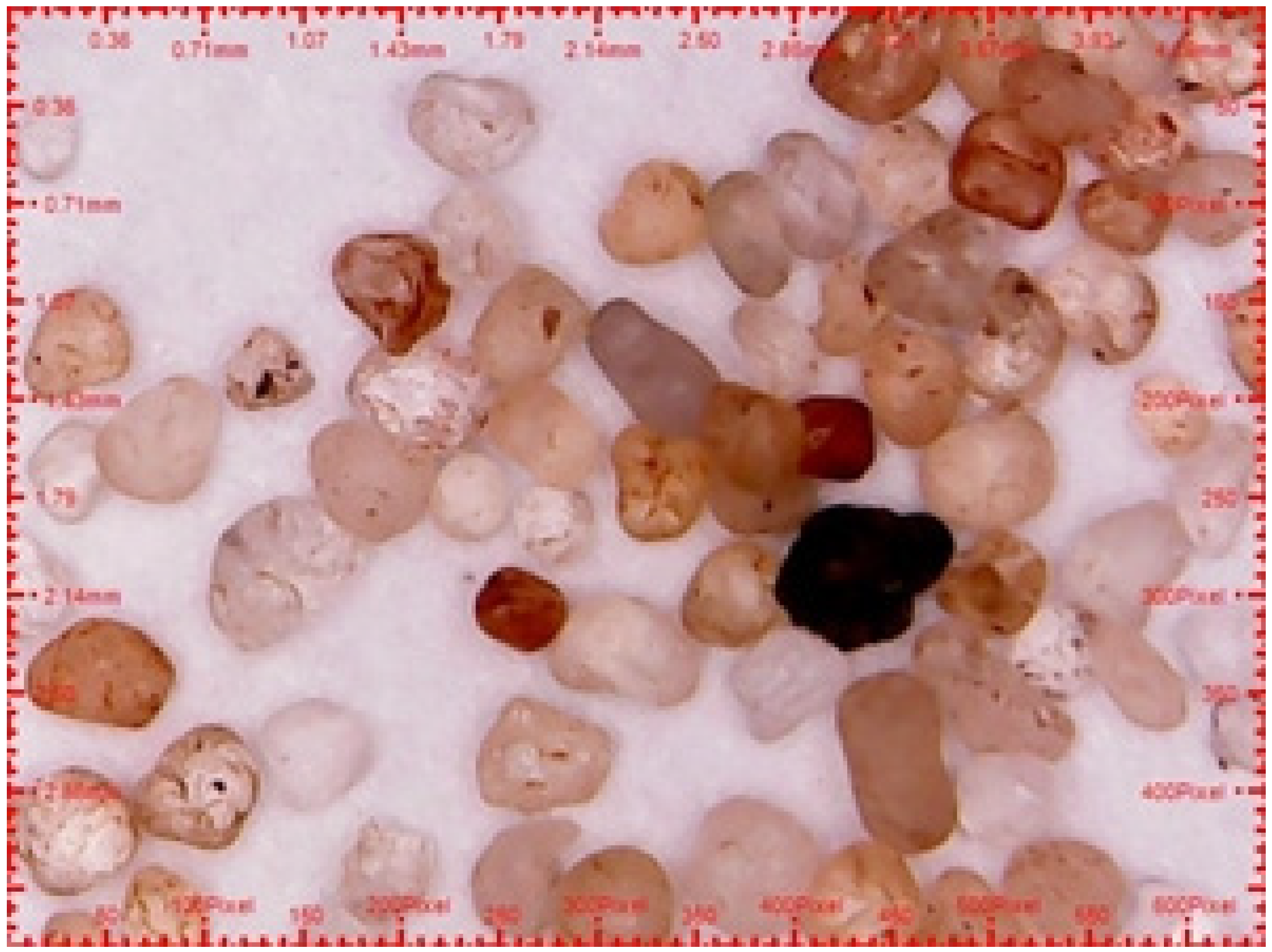 Fluids 10 00165 g005