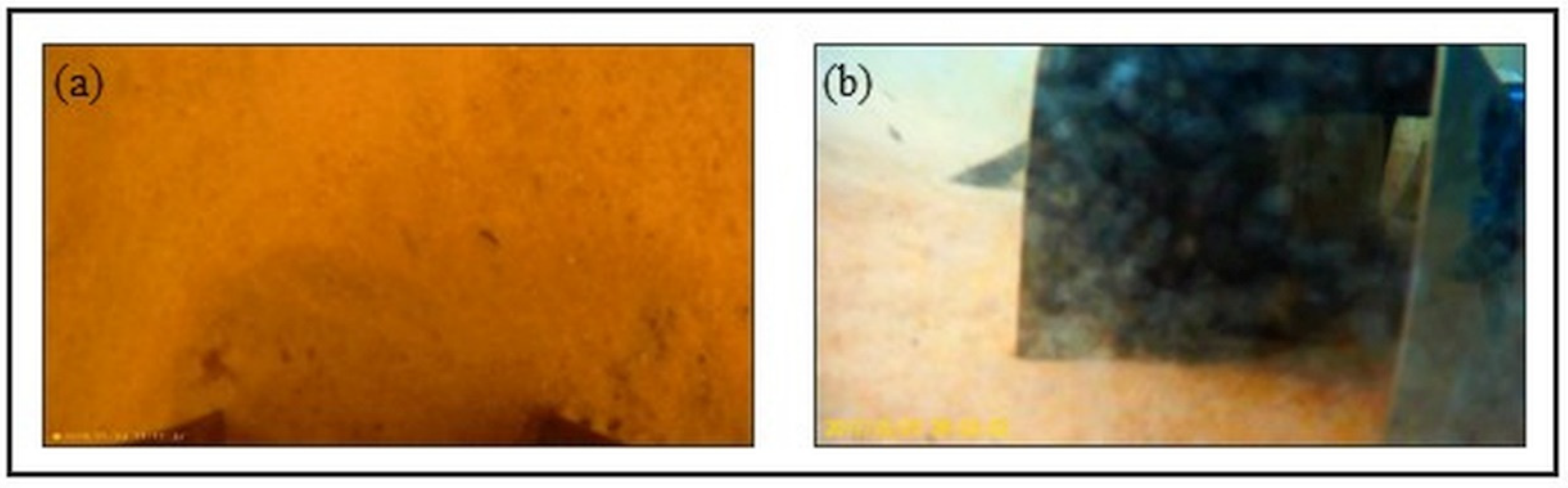 Fluids 10 00165 g007