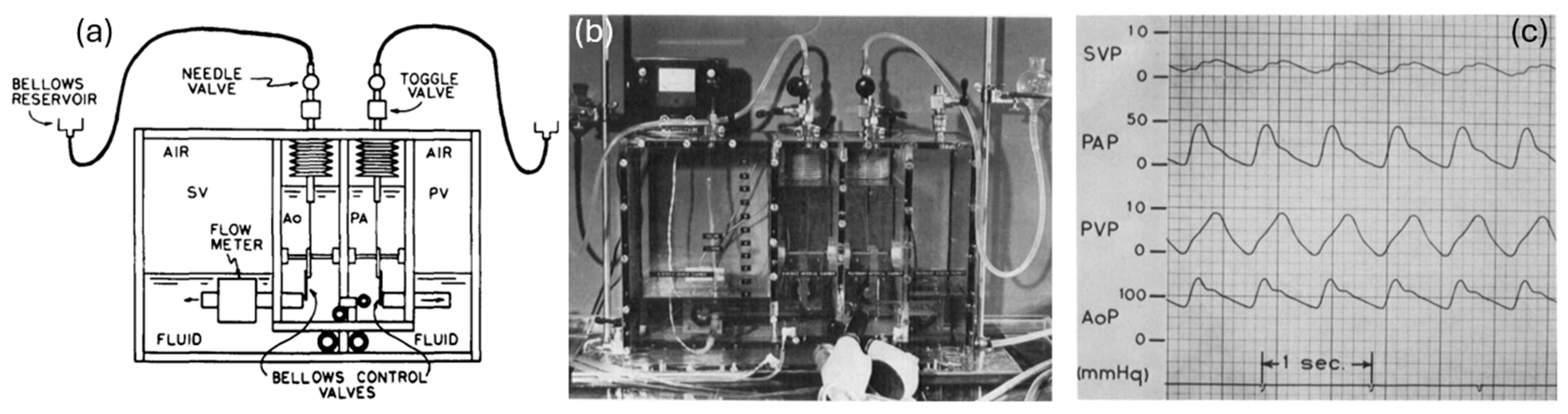 Fluids 10 00166 g001