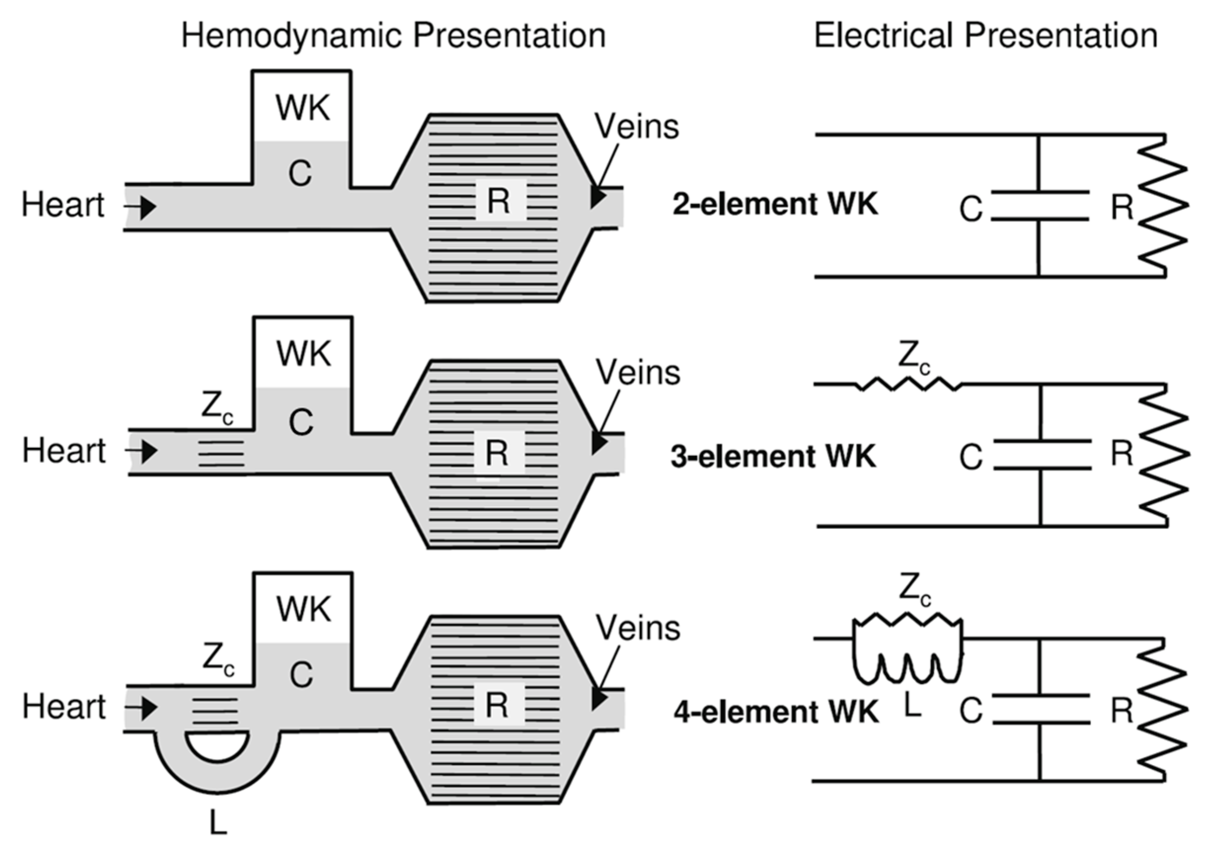 Fluids 10 00166 g003