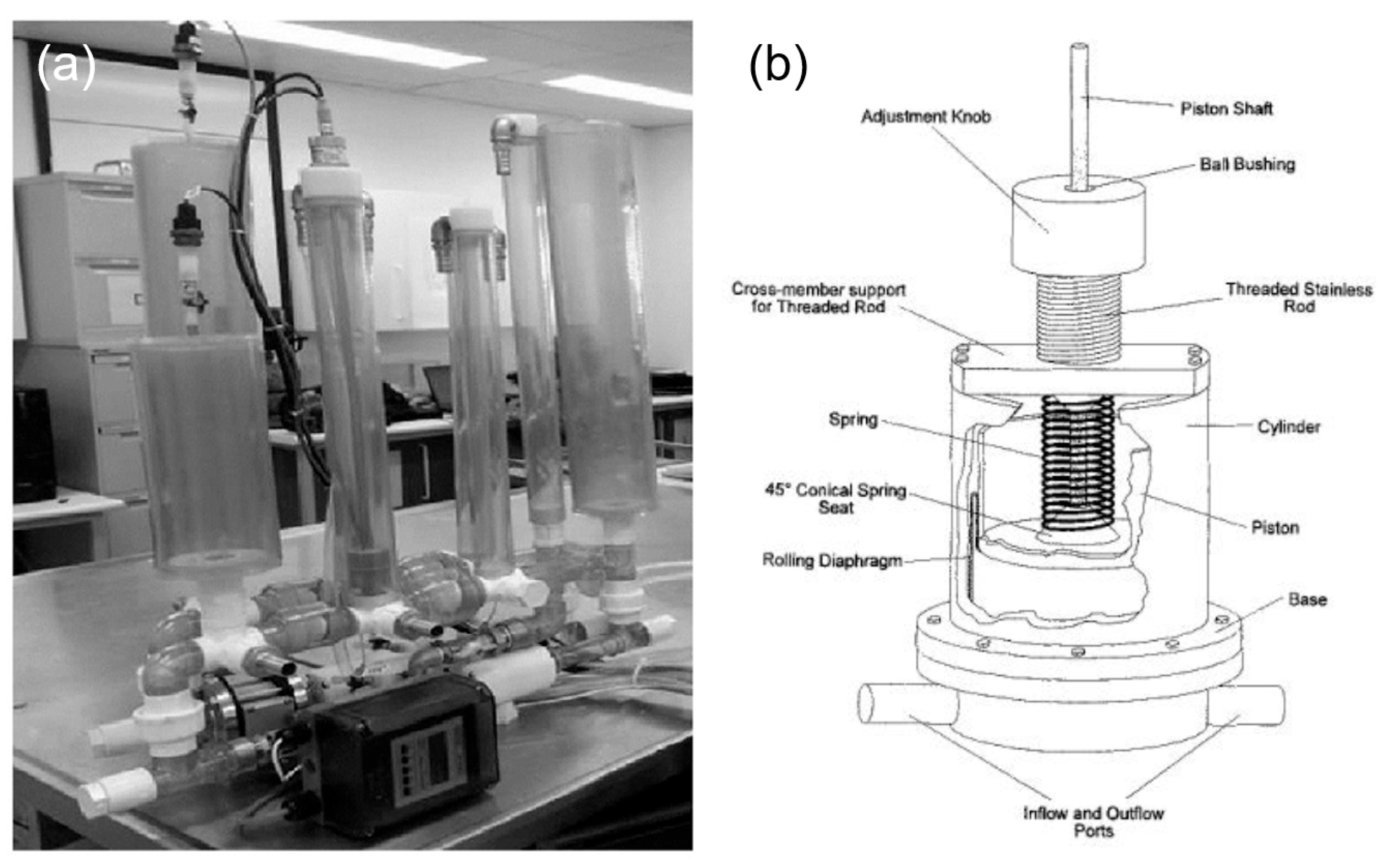 Fluids 10 00166 g004